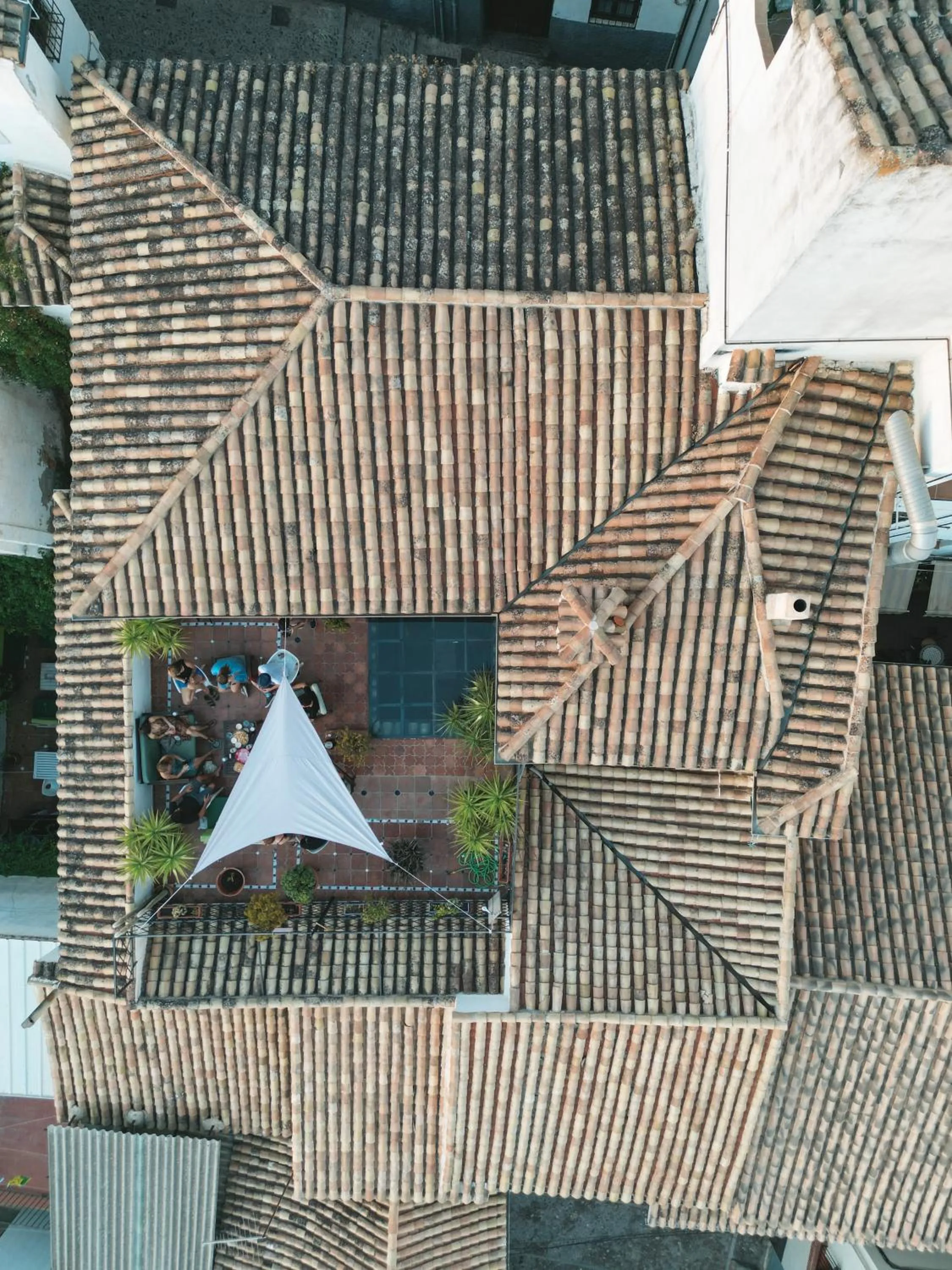 Balcony/Terrace in Oasis Backpackers' Hostel Granada