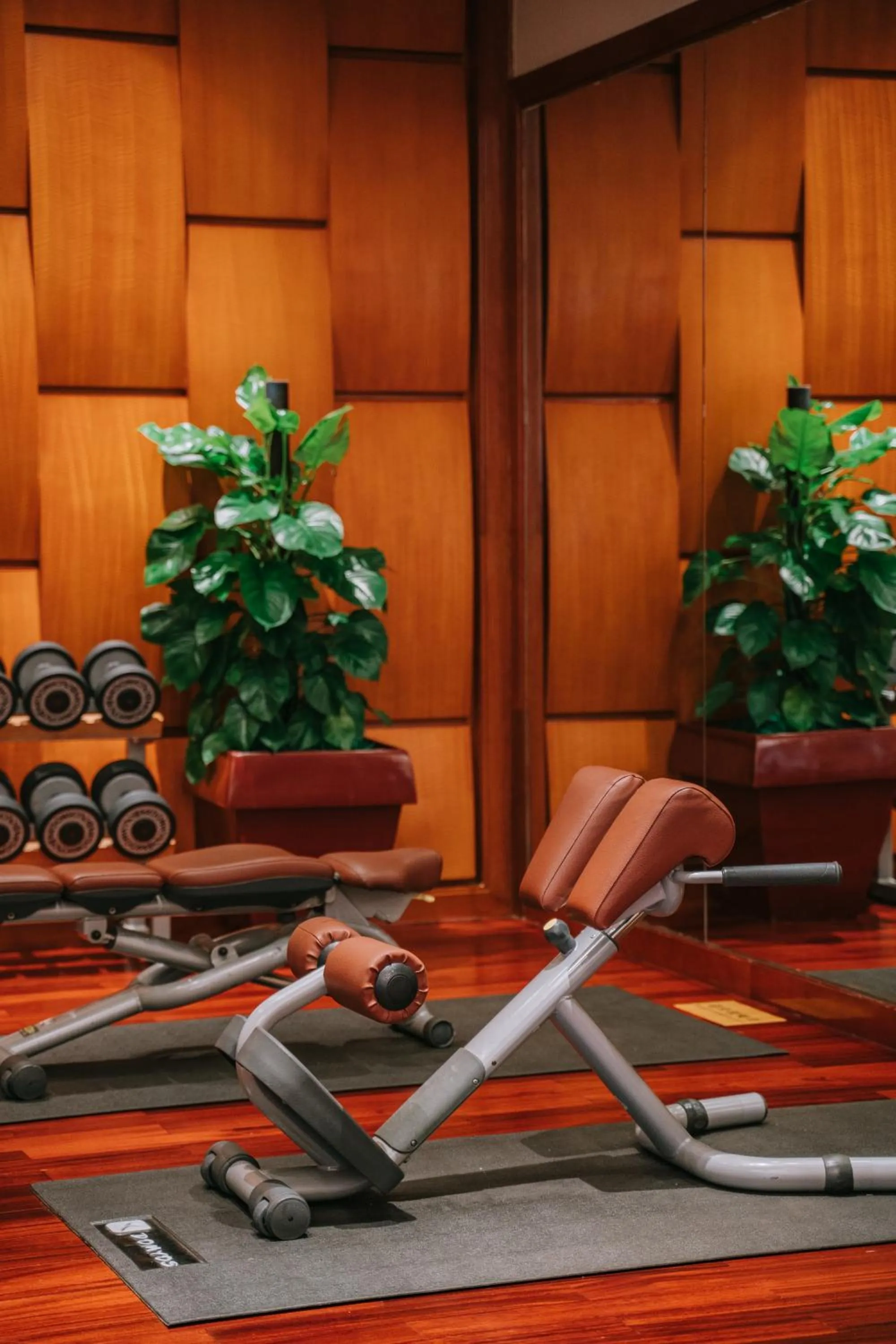 Fitness centre/facilities, Fitness Center/Facilities in Dekin Hotel Chongqing Jiefangbei