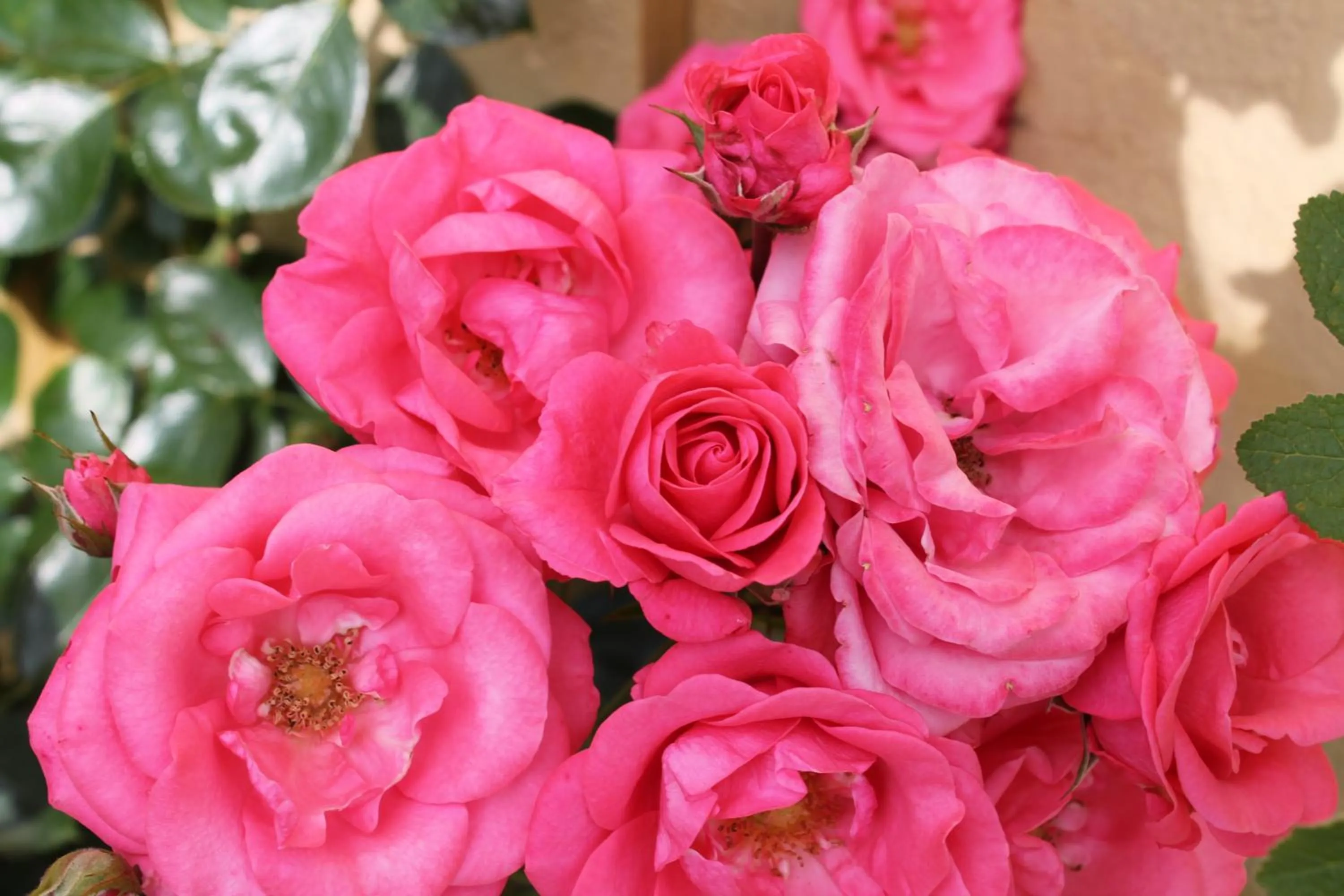 Other in Nyckelbo Vandrarhem