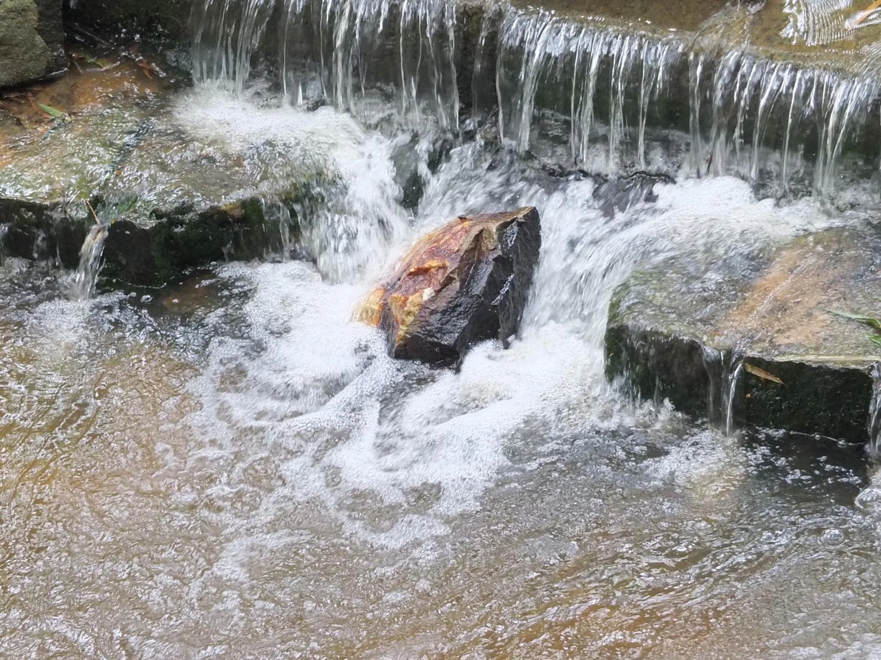 Wayanad Royal Stream