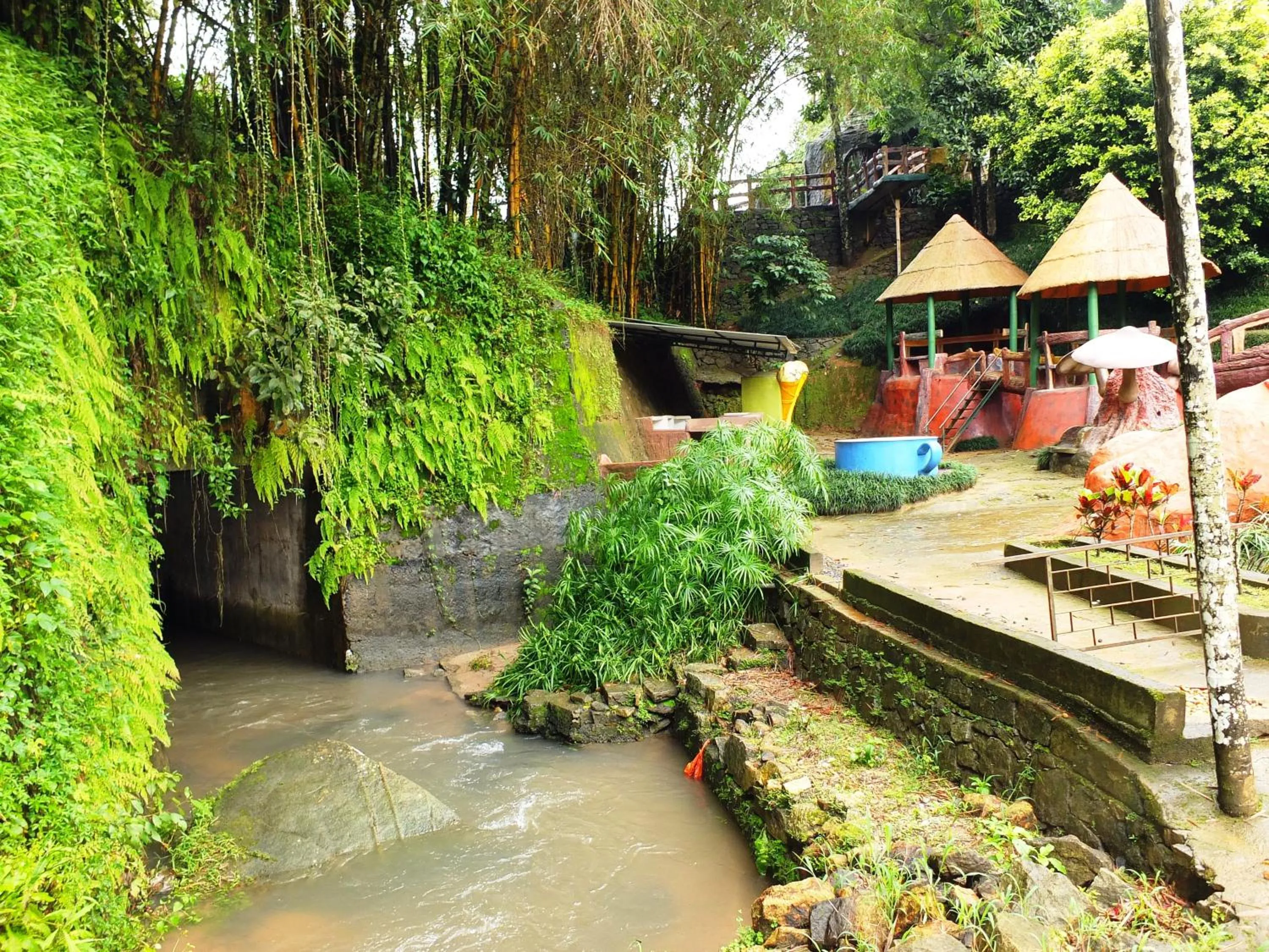 Wayanad Royal Stream