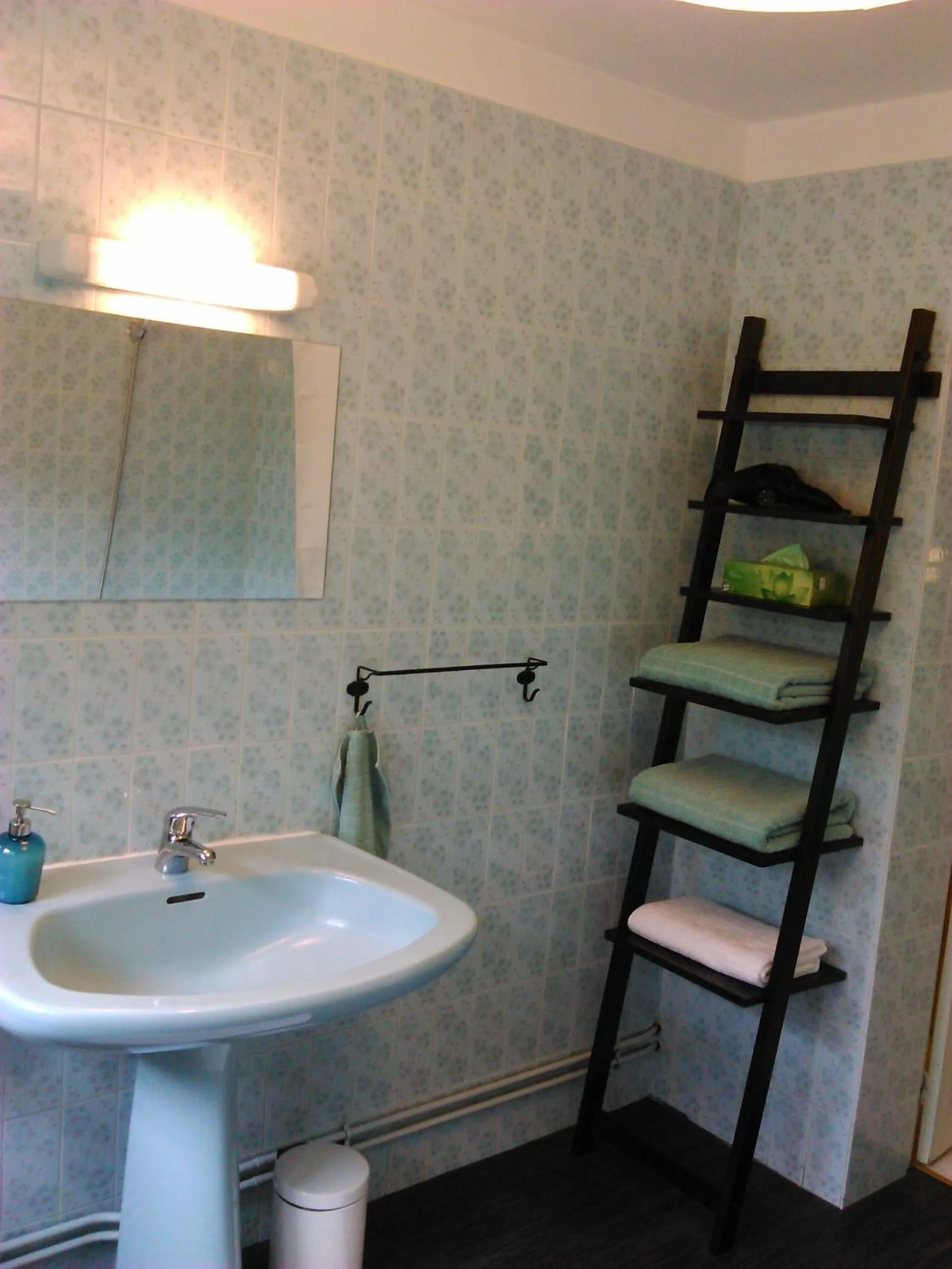 Toilet in Maison d'hôtes Les Beaux Chenes