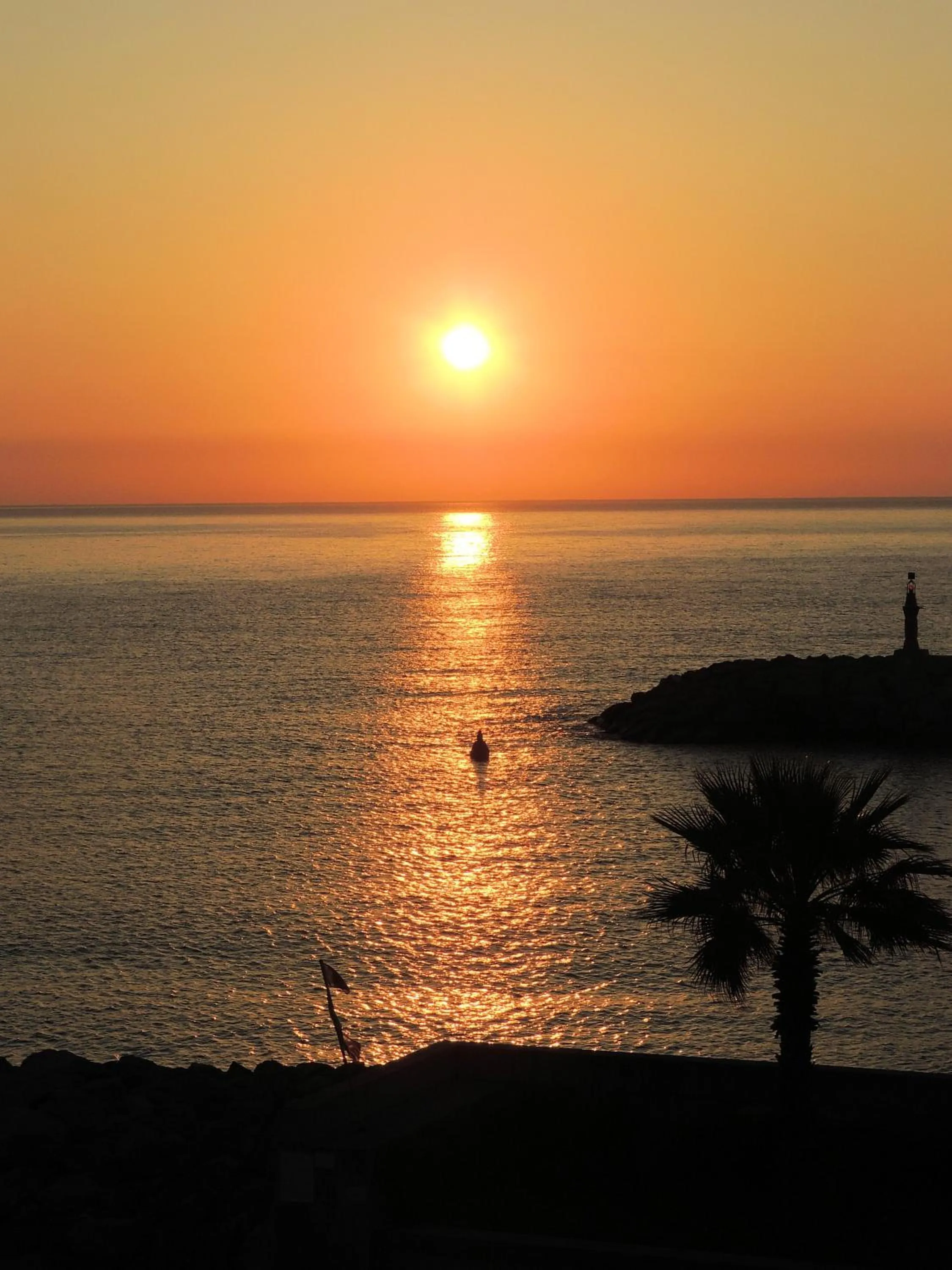 Natural landscape in Hotel Riviera dei Fiori