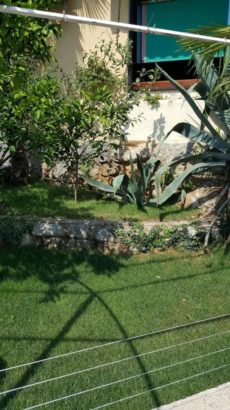 Apatmani Milena