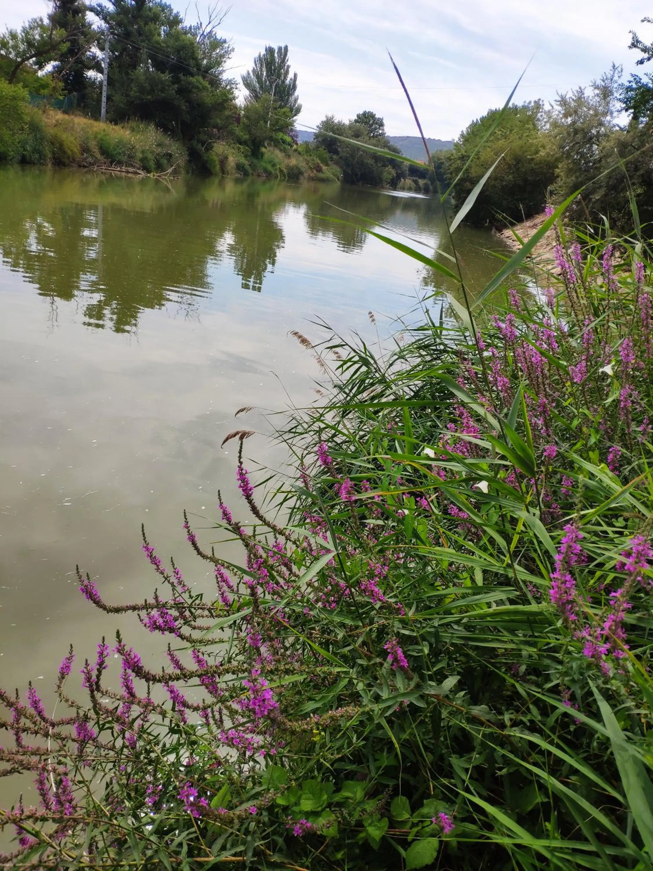 Hotel Puerta del Arco