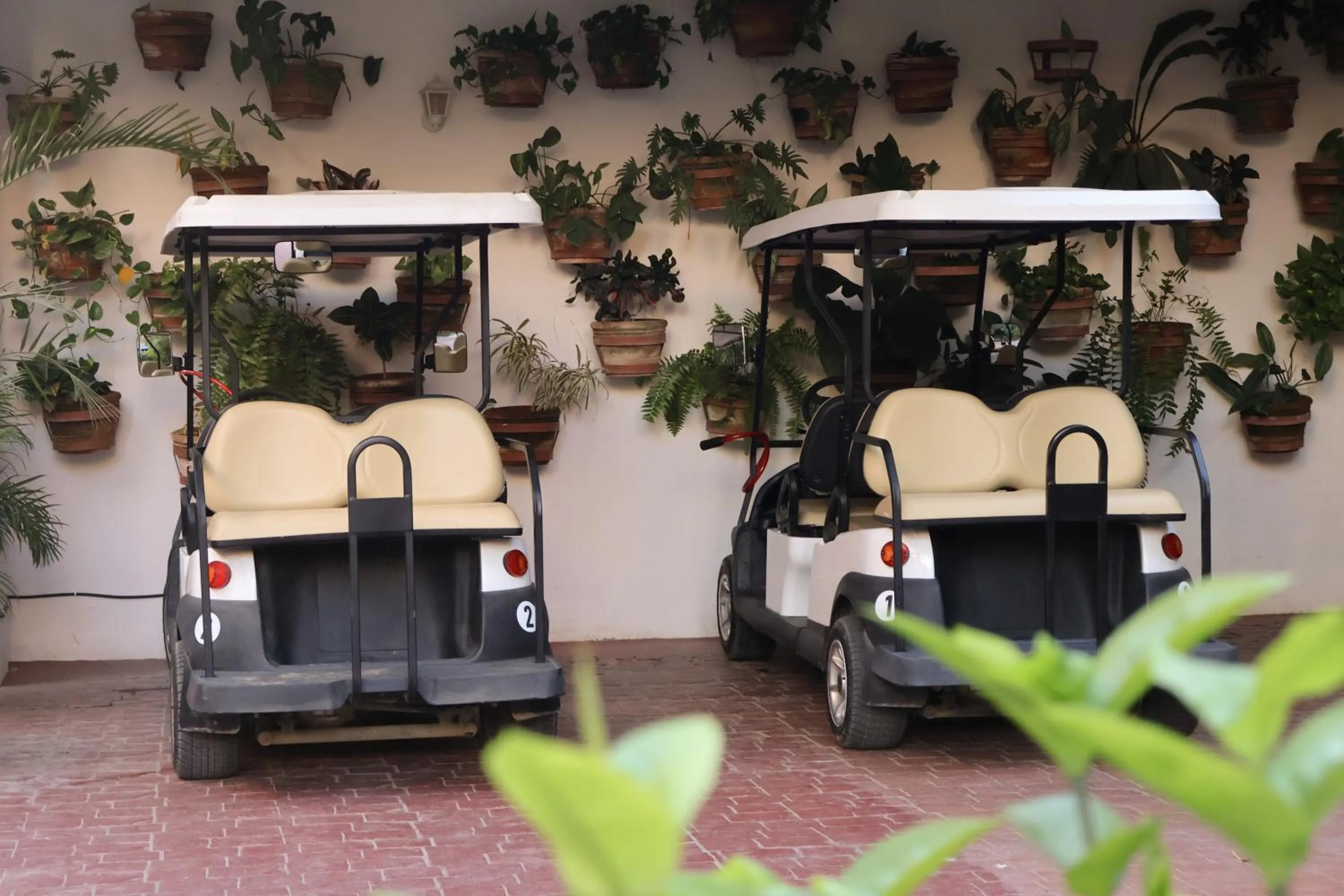 Area and facilities in Casa Lotería -Pueblito Sayulita- Colorful, Family and Relax Experience with Private Parking and Pool