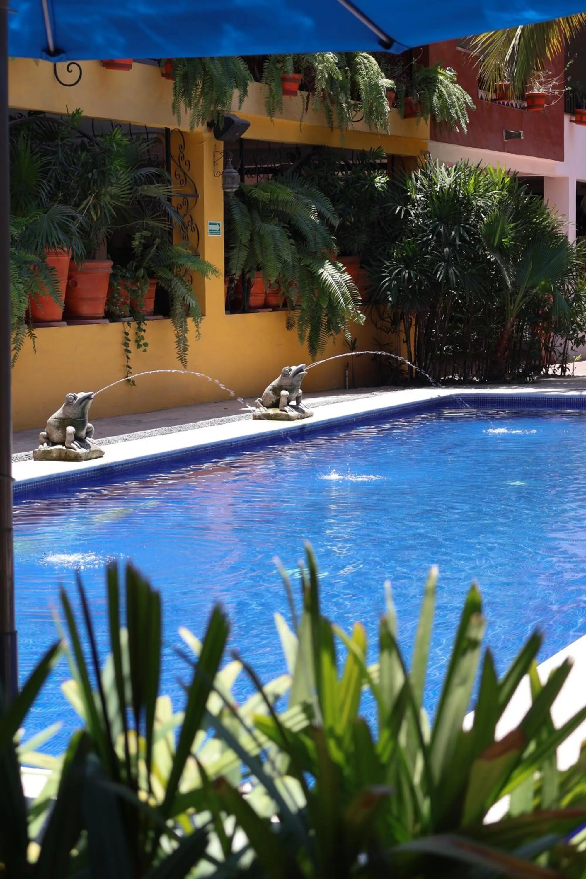 Swimming pool in Casa Lotería -Pueblito Sayulita- Colorful, Family and Relax Experience with Private Parking and Pool