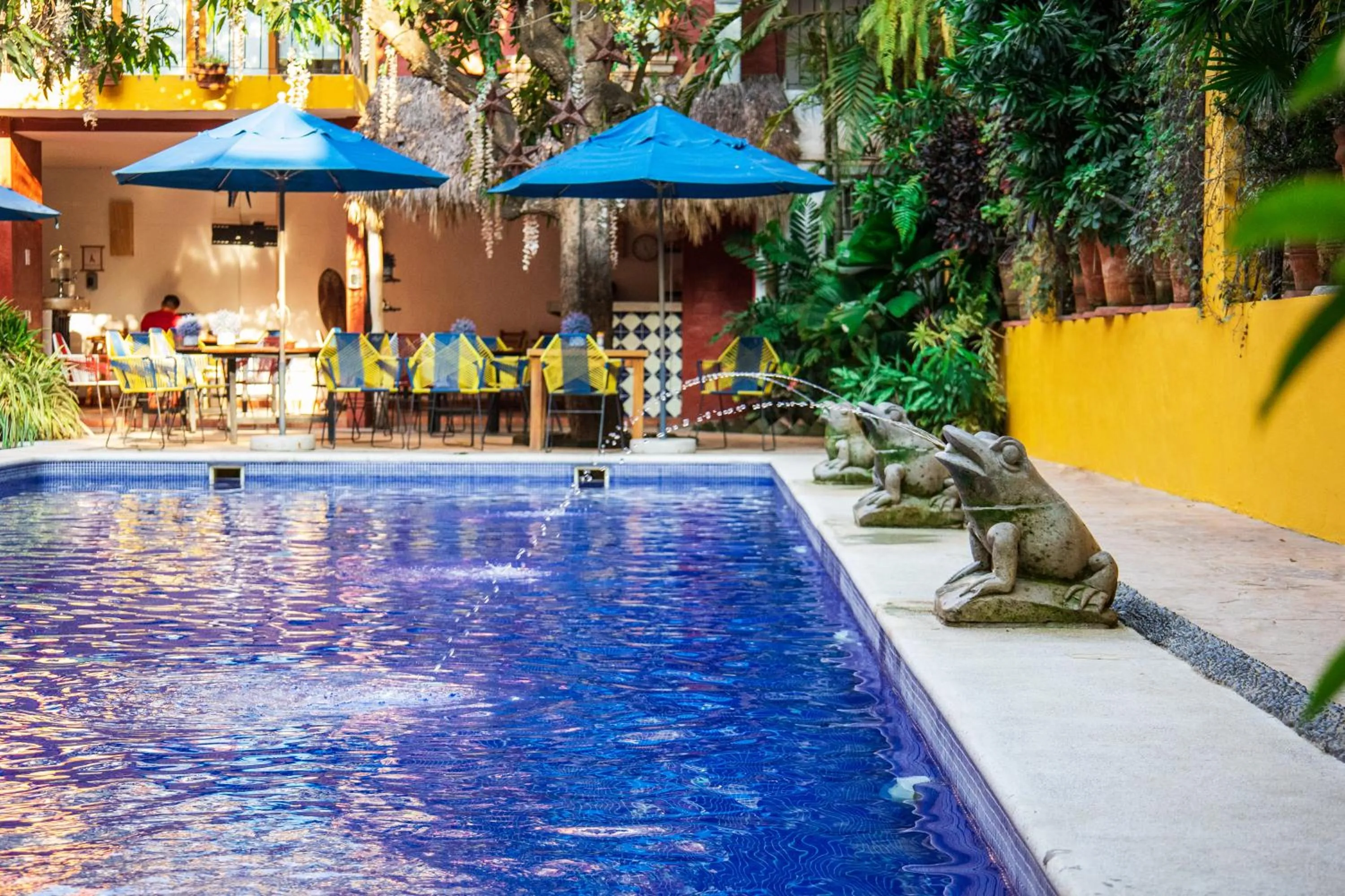 Pool view in Casa Lotería -Pueblito Sayulita- Colorful, Family and Relax Experience with Private Parking and Pool