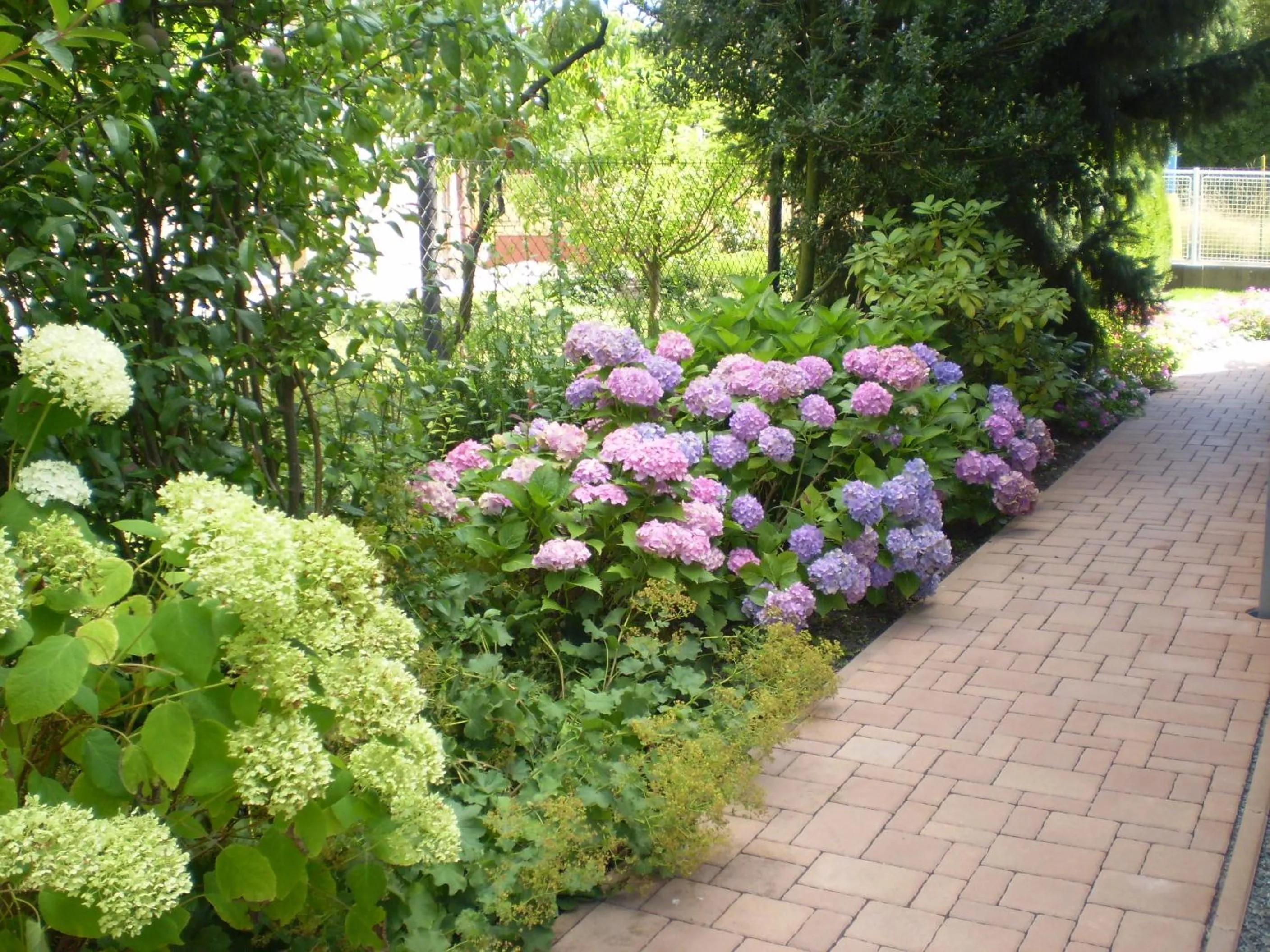 Garden in apartman pro 4 osoby