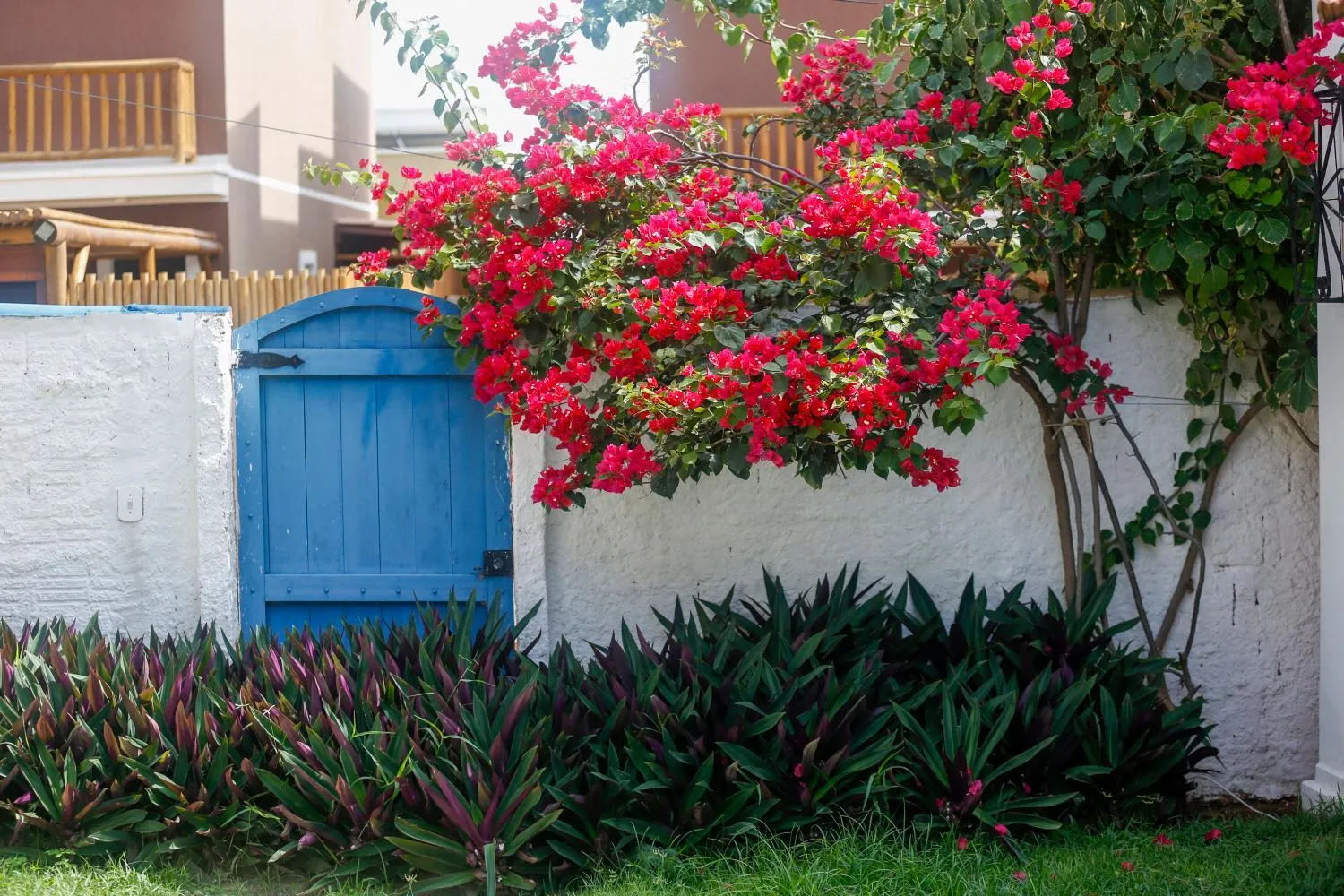 Pousada Tranquilandia Village