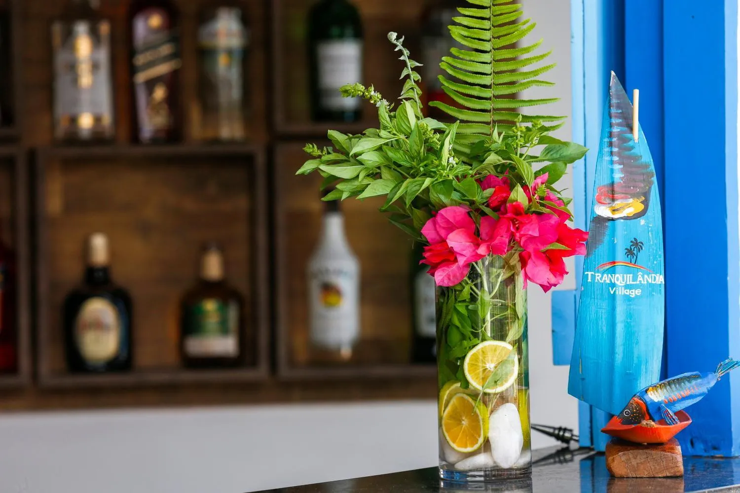 Pousada Tranquilandia Village