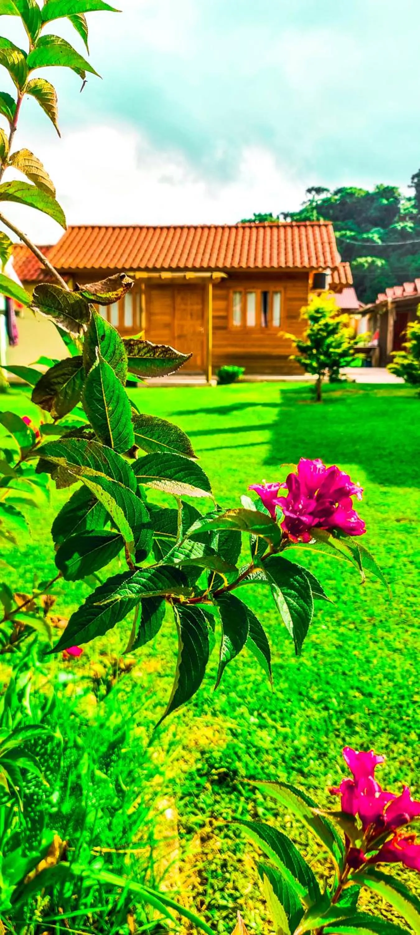 Pousada Santa Terezinha