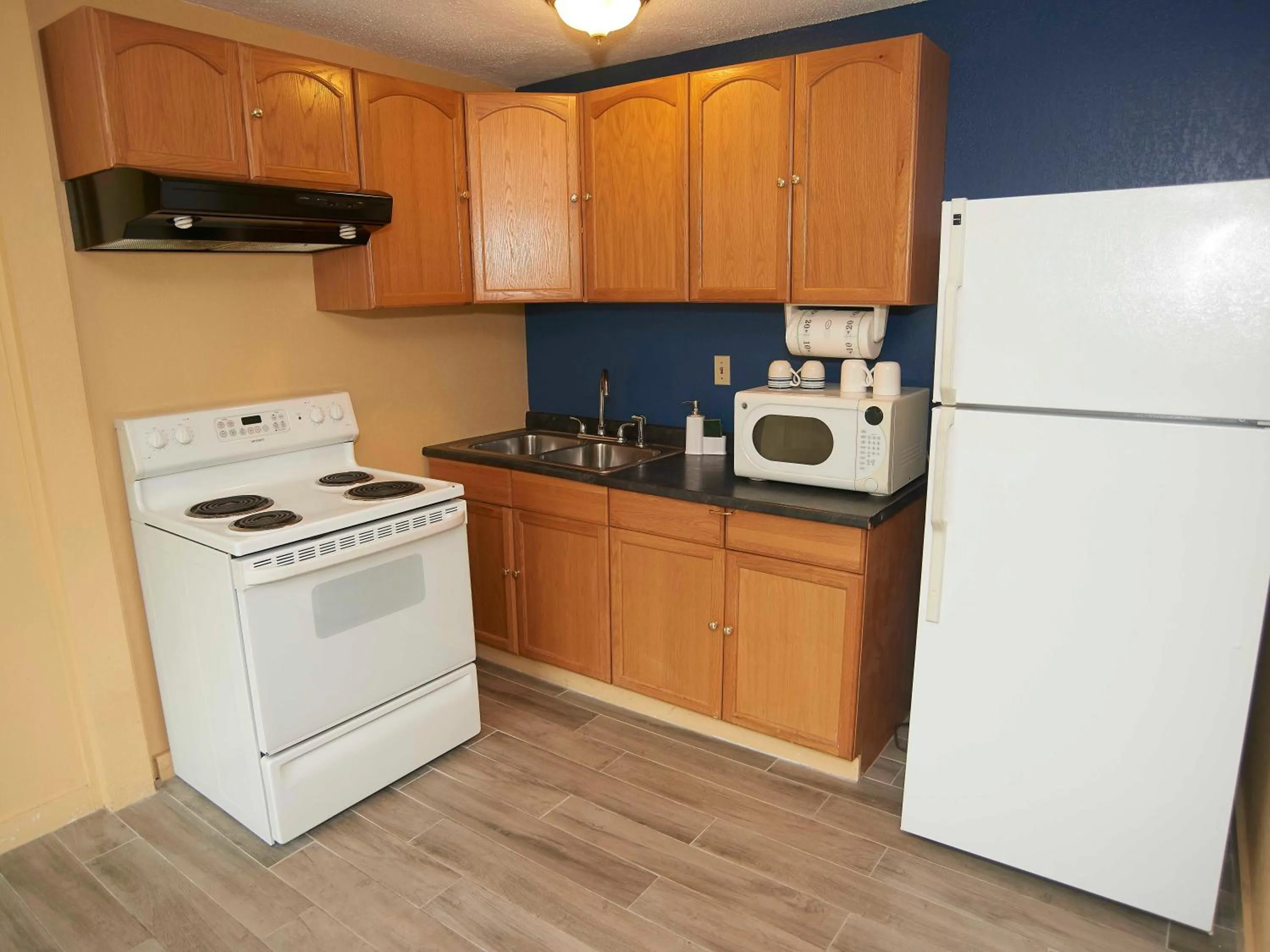Kitchen or kitchenette in Swiss Chalets Village Inn