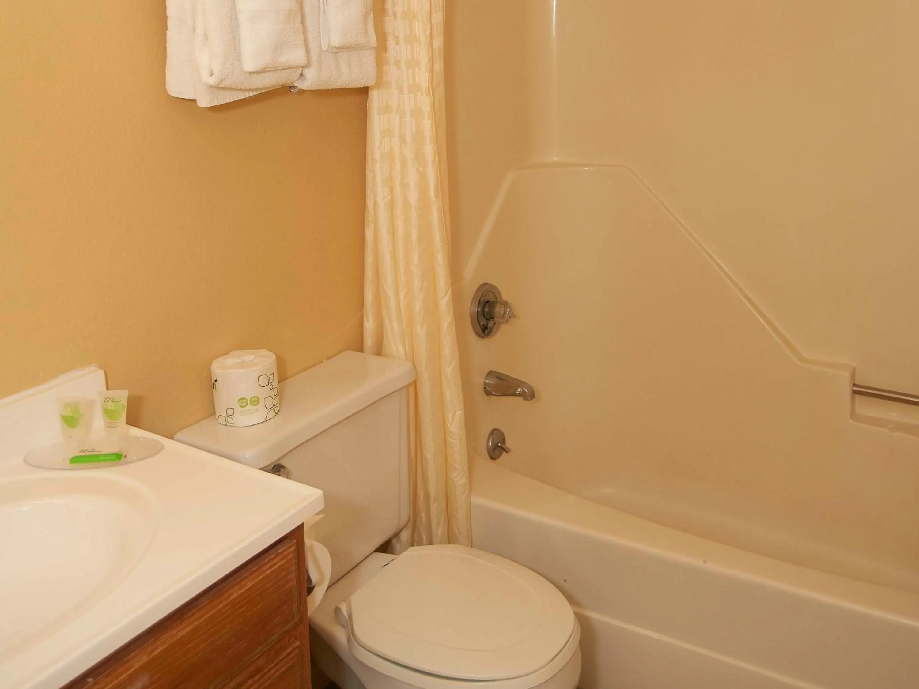 Bathroom in Swiss Chalets Village Inn