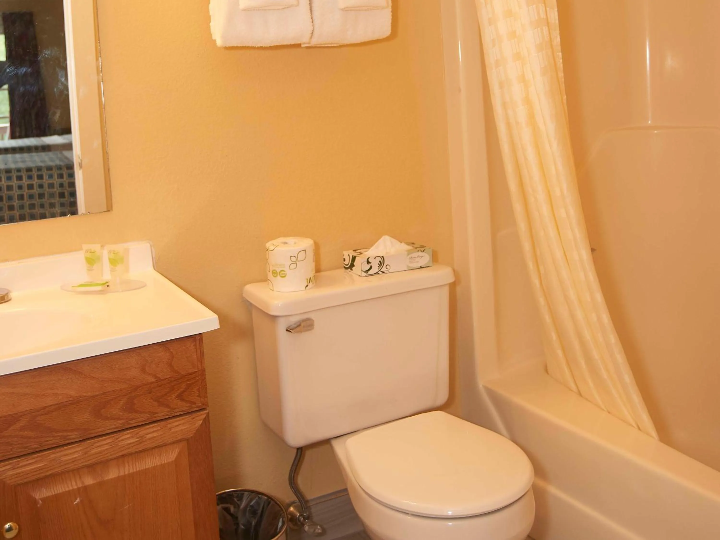 Bathroom in Swiss Chalets Village Inn