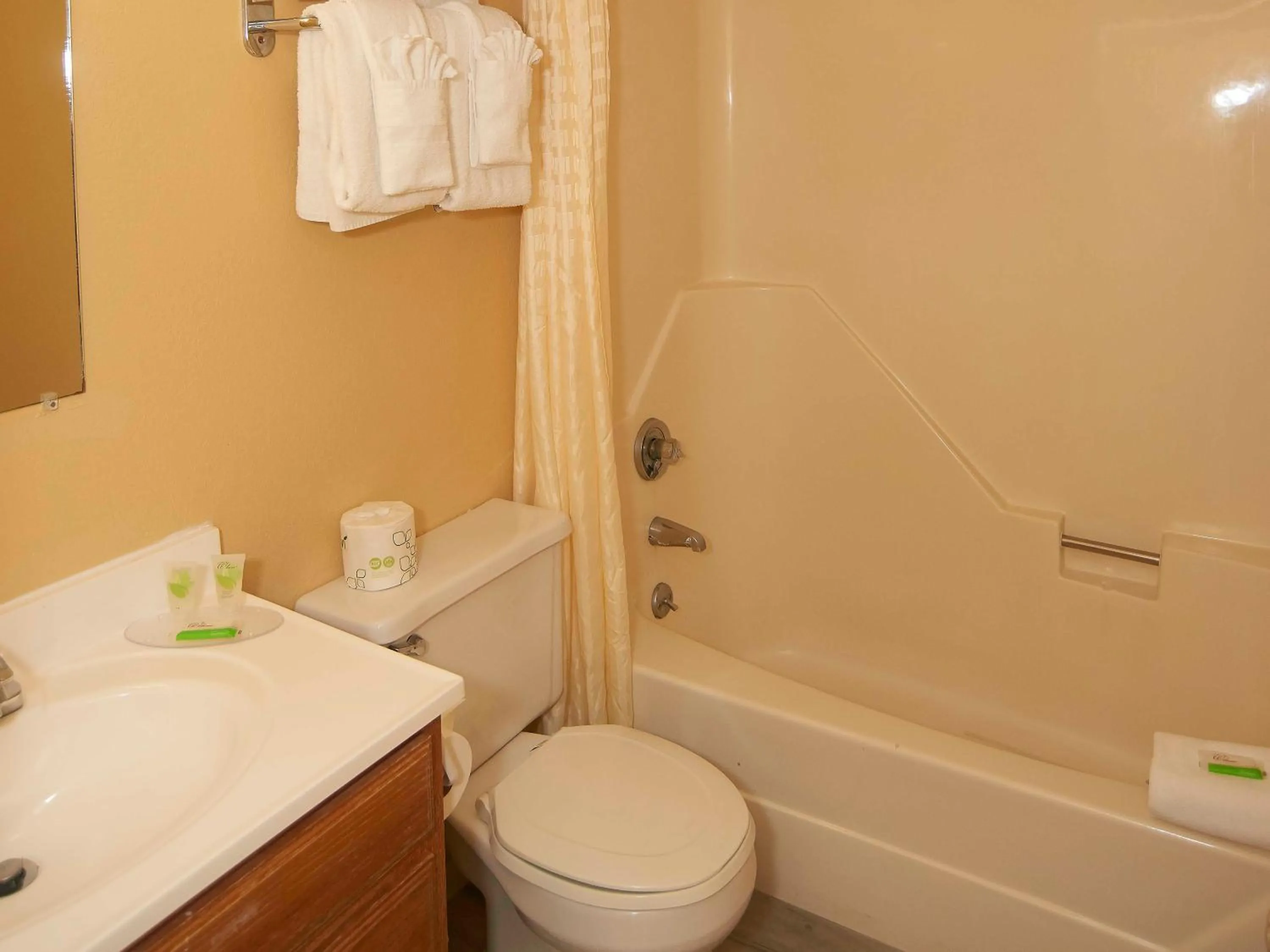 Bathroom in Swiss Chalets Village Inn