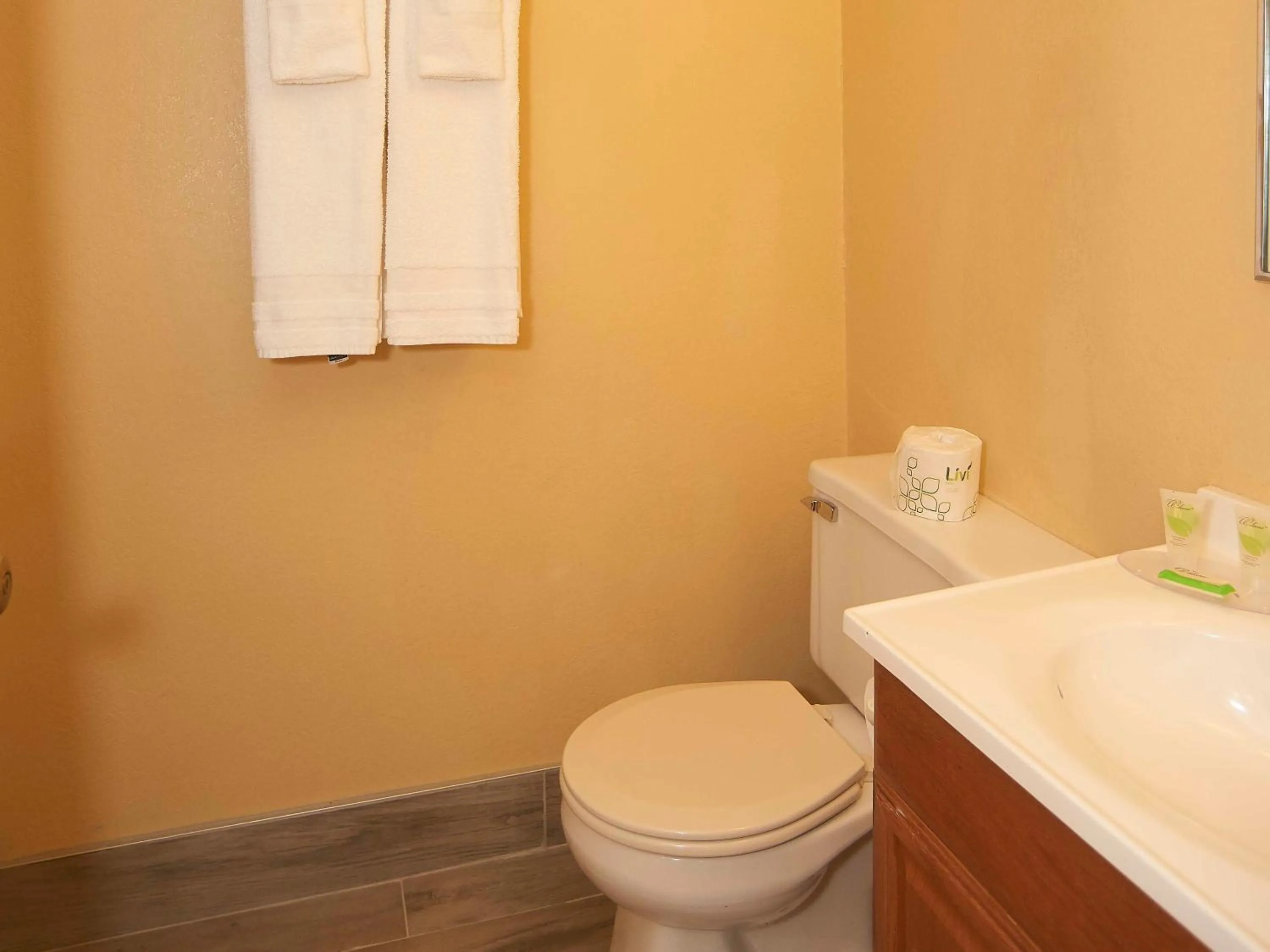 Bathroom in Swiss Chalets Village Inn