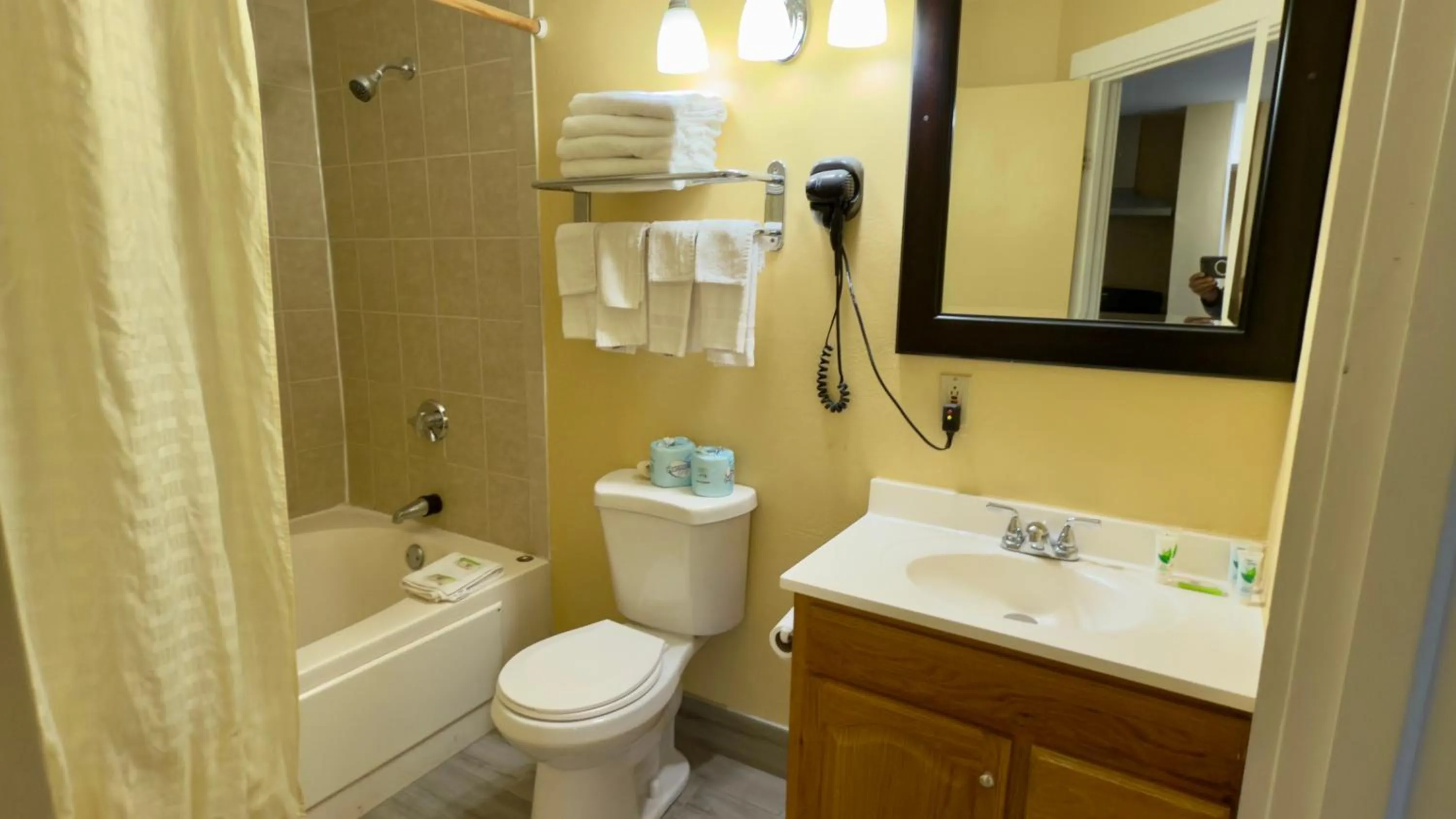 Bathroom in Swiss Chalets Village Inn