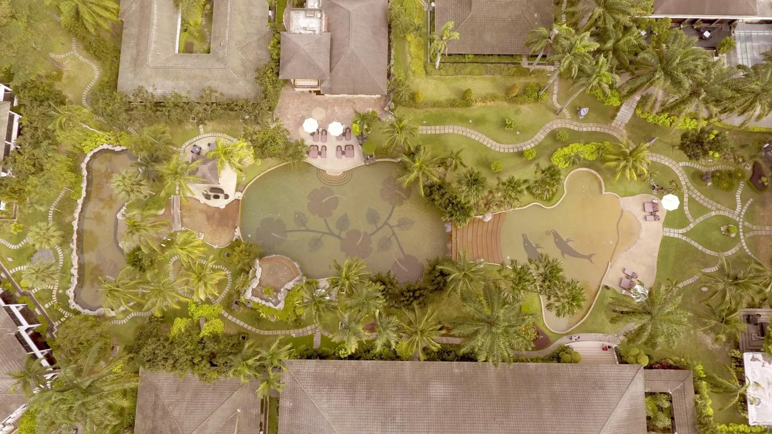 Bird's eye view in Cyberview Resort & Spa Bird's eye view in Cyberview Resort & Spa