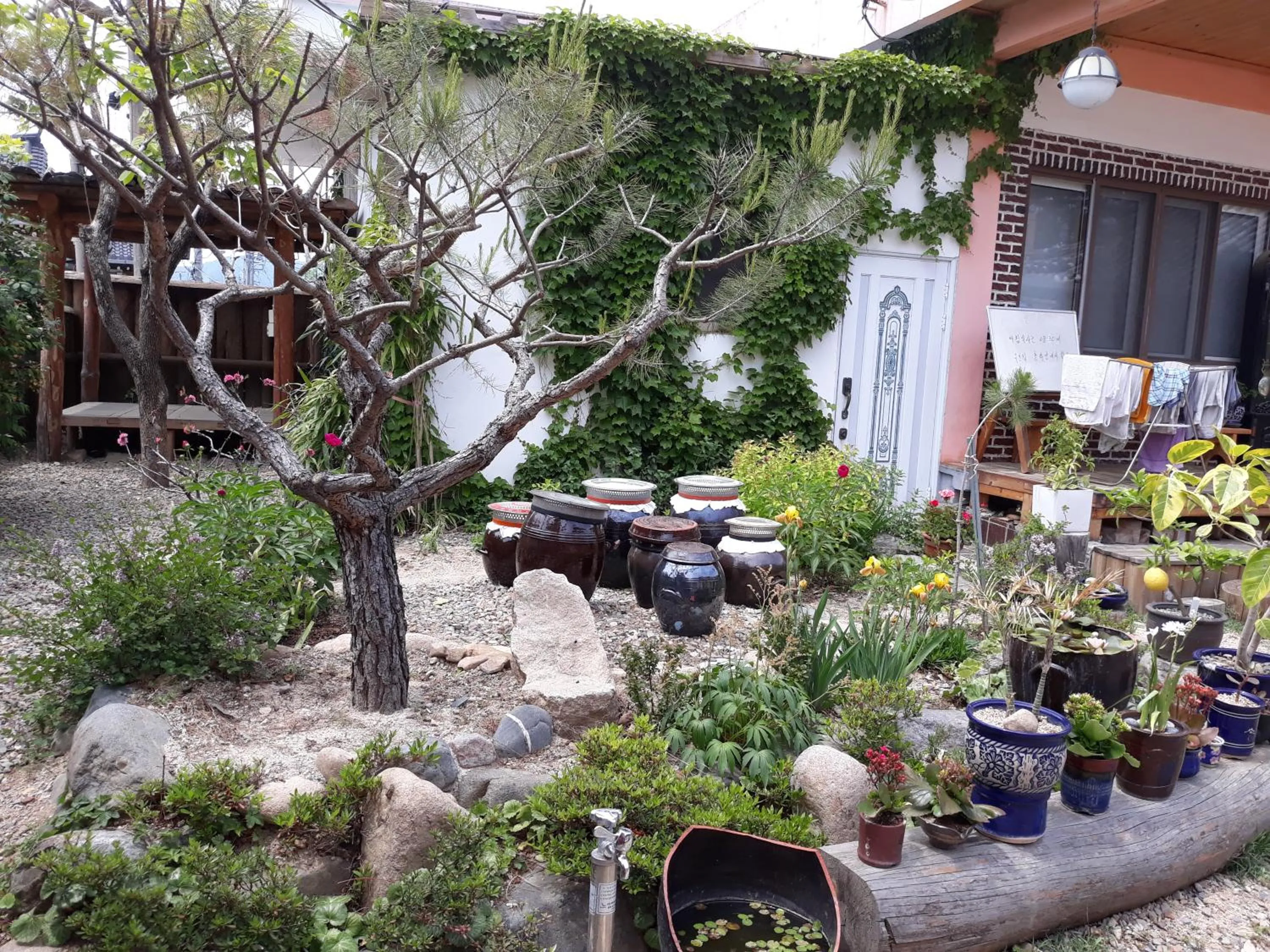 Property building in Namuae