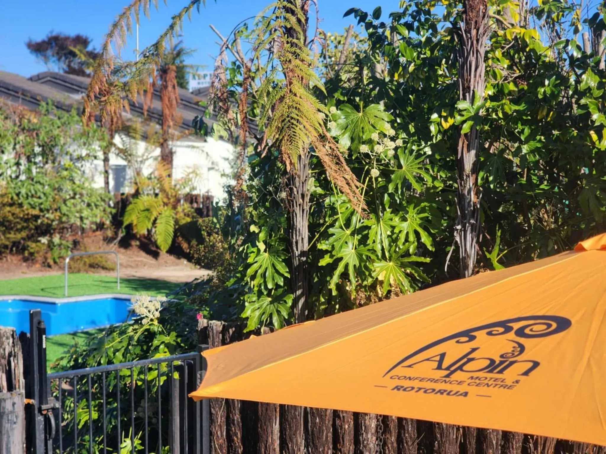 Swimming pool in Alpin Motel & Conference Centre