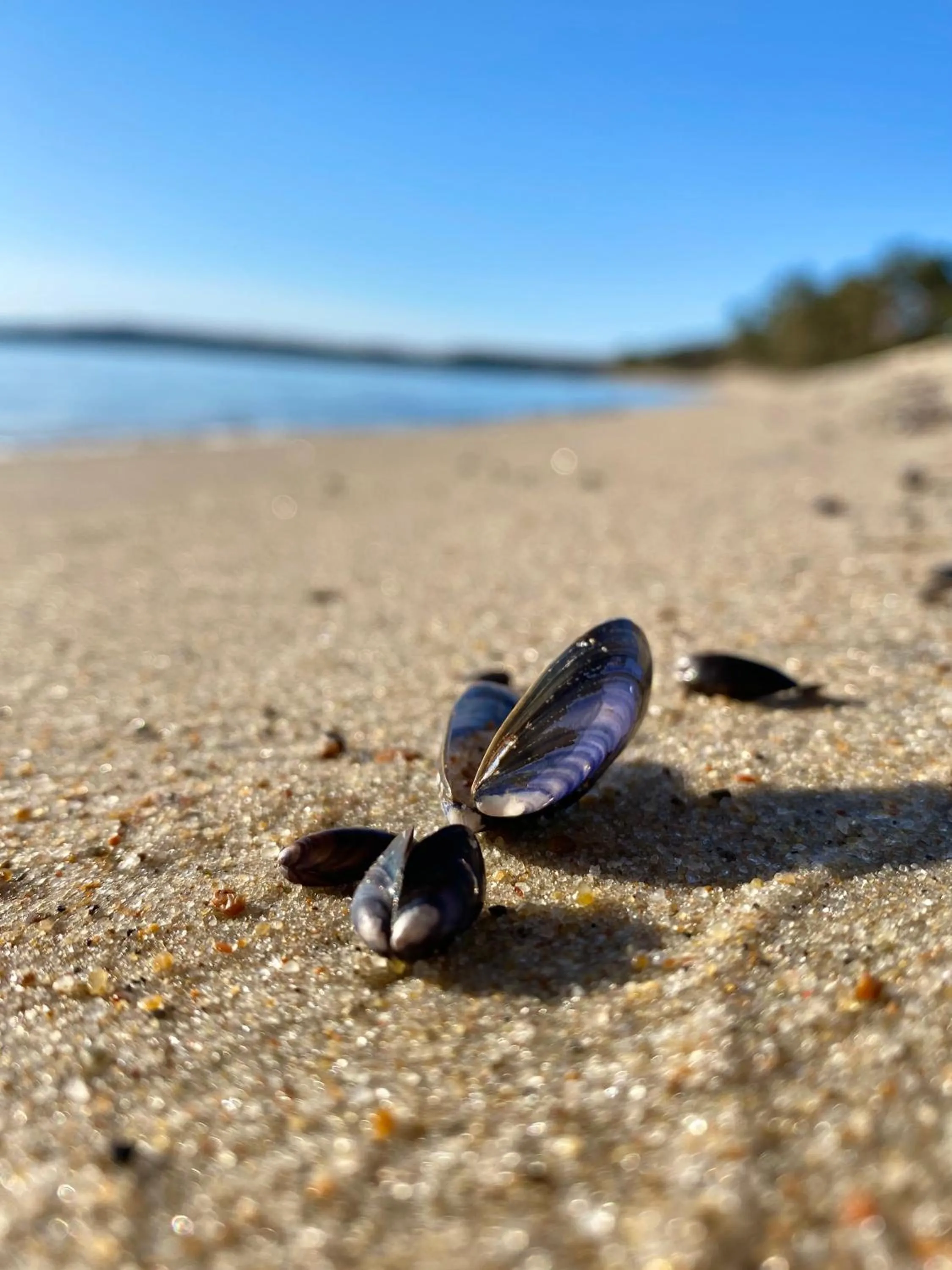 Beach in Kaptenshuset Hotell