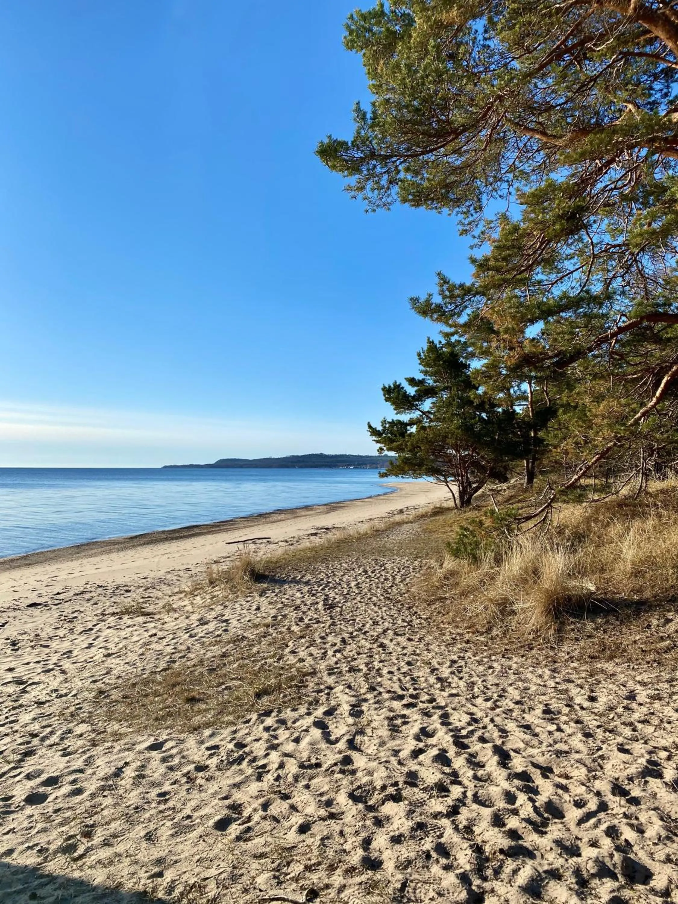 Natural landscape in Kaptenshuset Hotell
