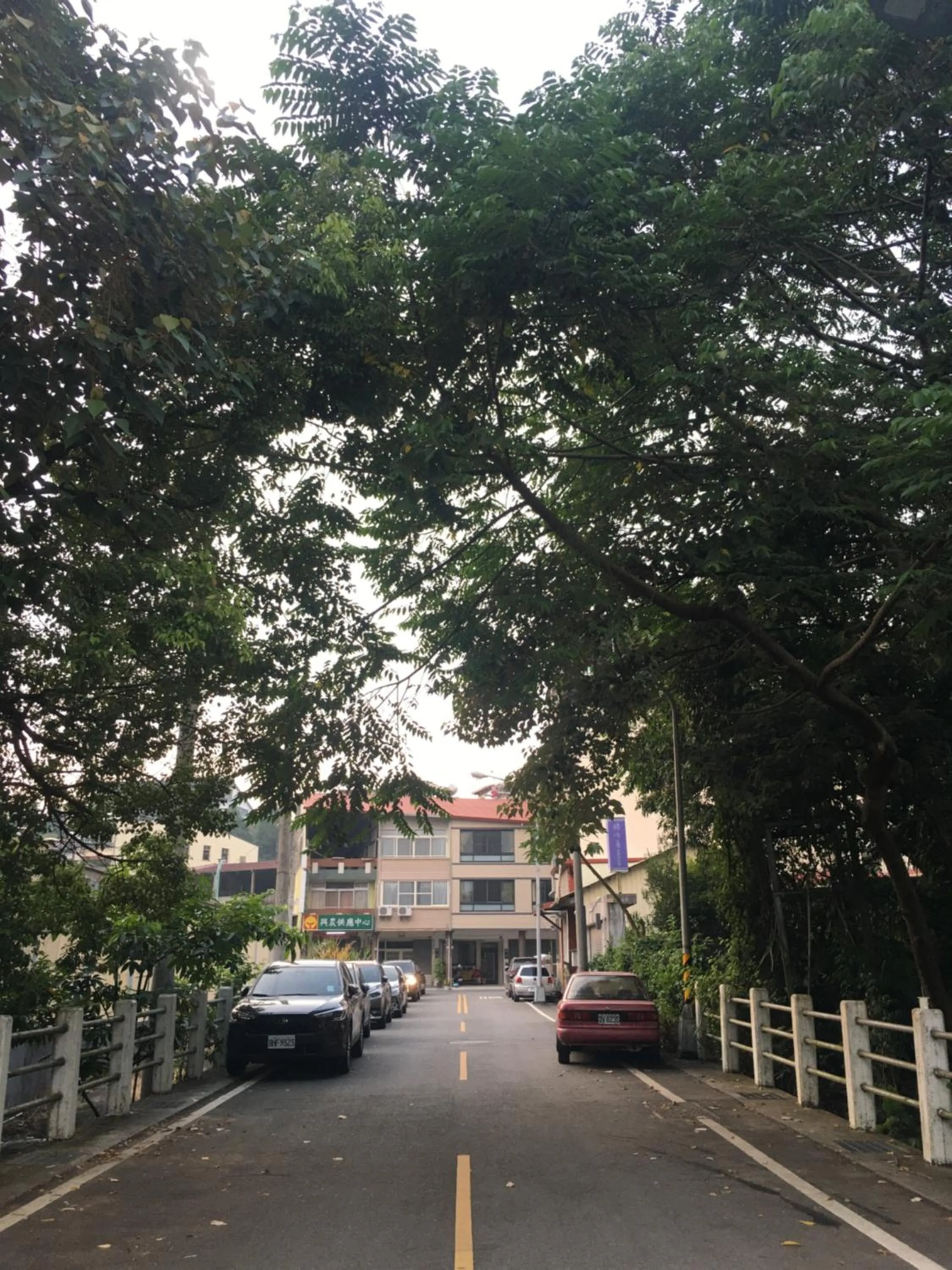 日月潭魚池鄉秀水民宿Xiu Shui Hotel