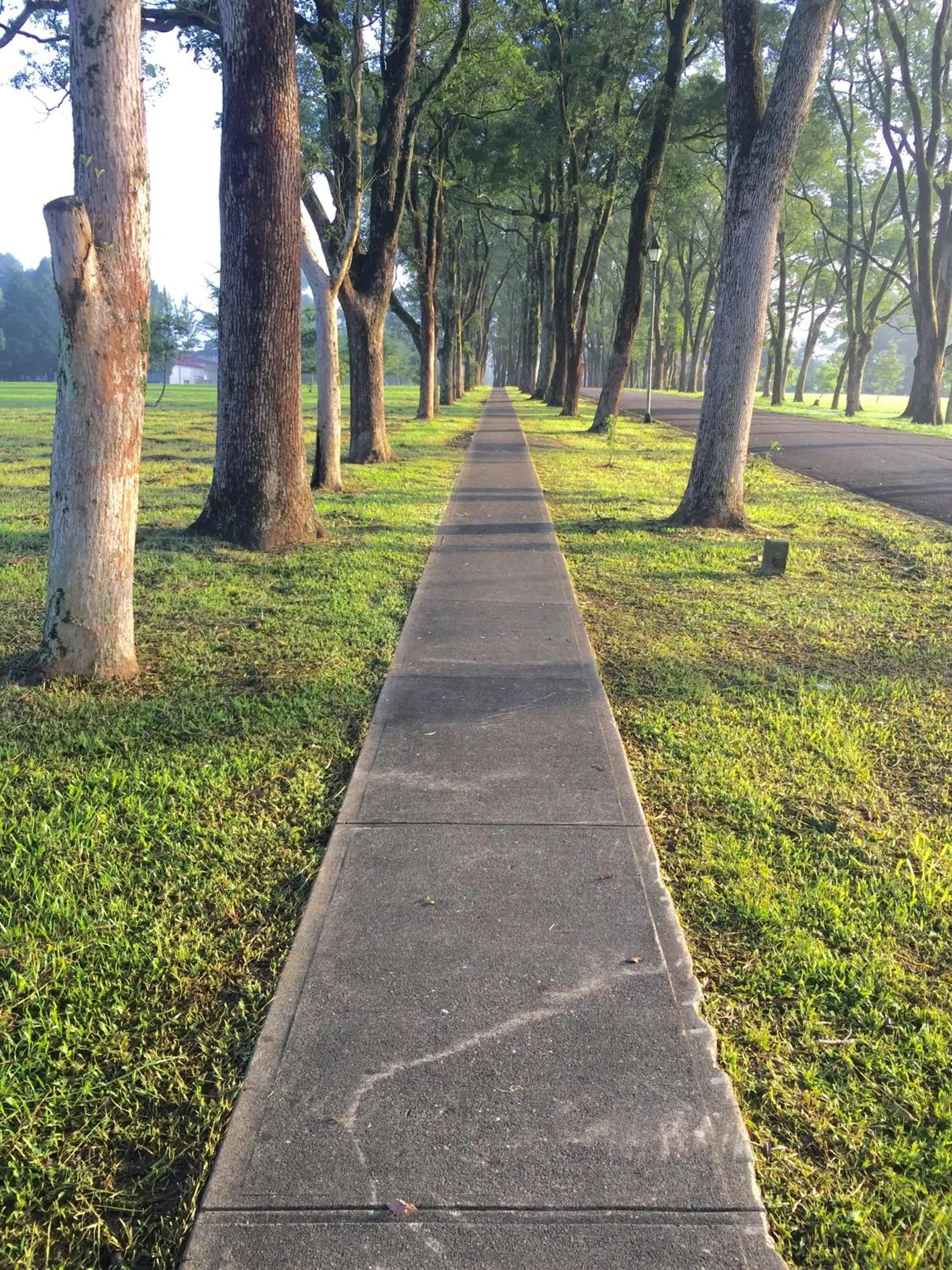 Nearby landmark in 日月潭魚池鄉秀水民宿Xiu Shui Hotel