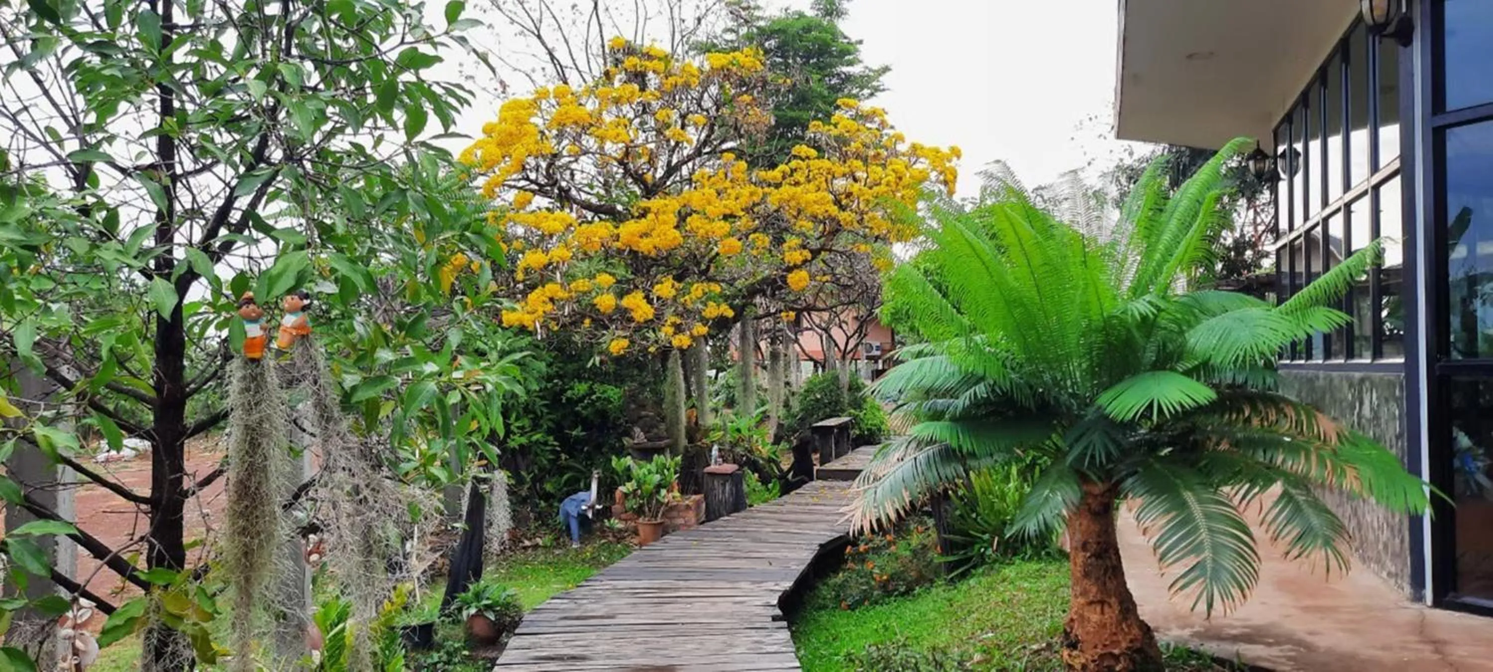 Garden in Heuan Na Khee