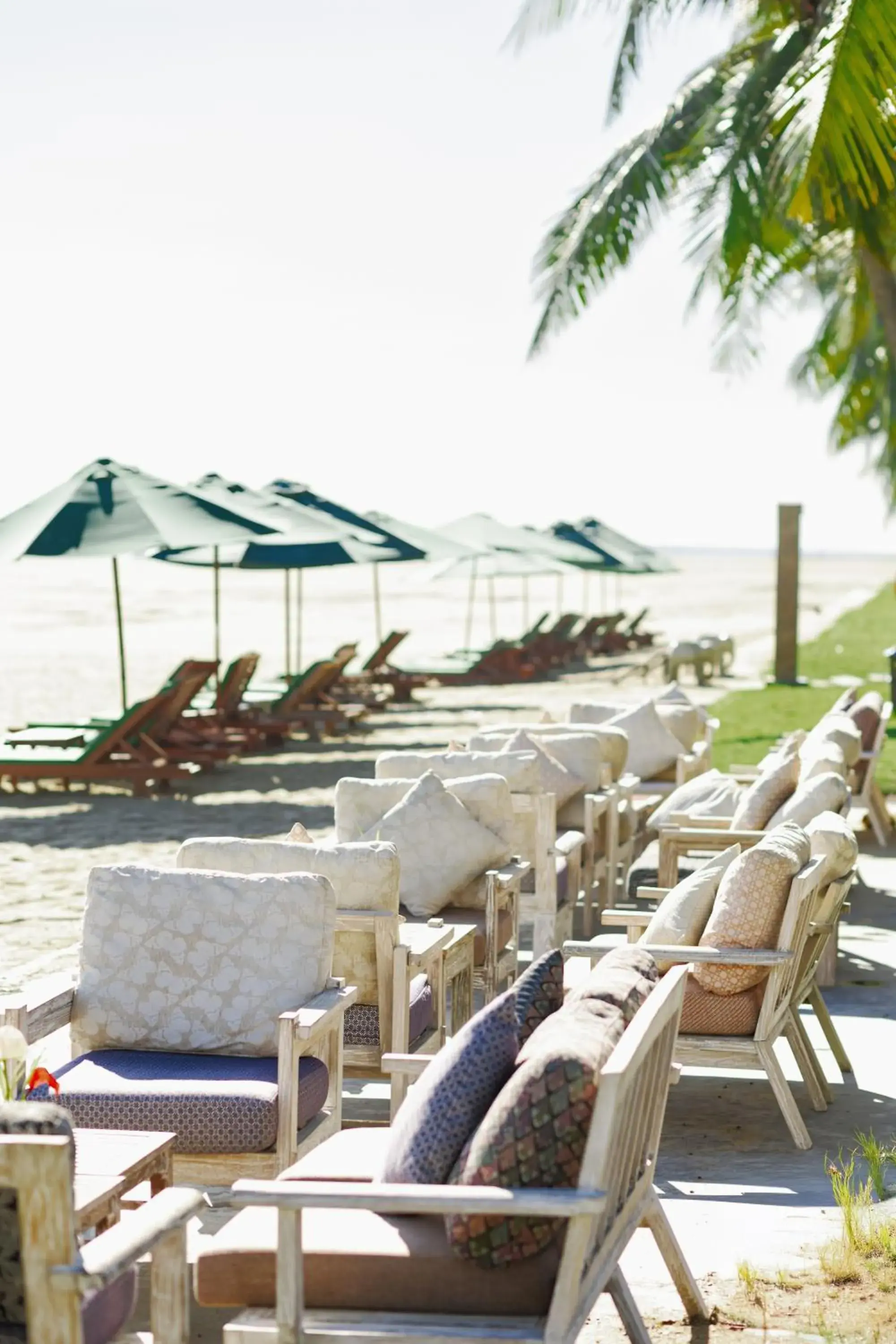 Lounge or bar in Palm Garden Beach Resort & Spa Lounge or bar in Palm Garden Beach Resort & Spa