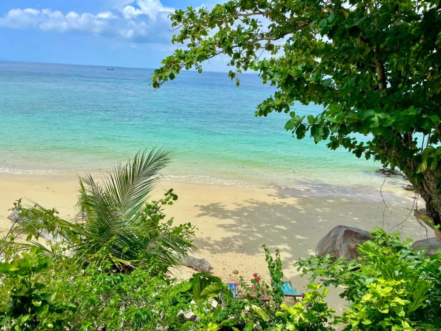 View (from property/room) in Phi Phi Relax Beach Resort