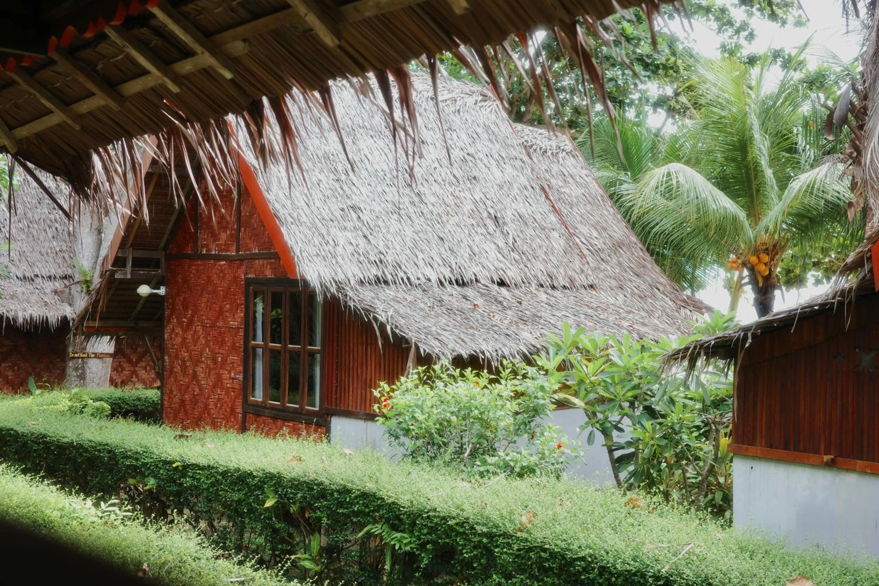 Garden in Phi Phi Relax Beach Resort