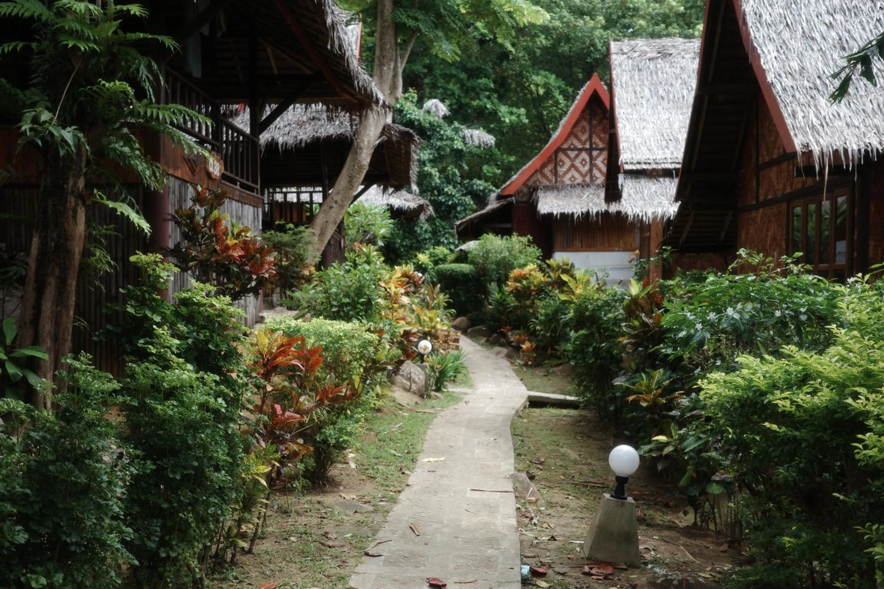 Garden in Phi Phi Relax Beach Resort