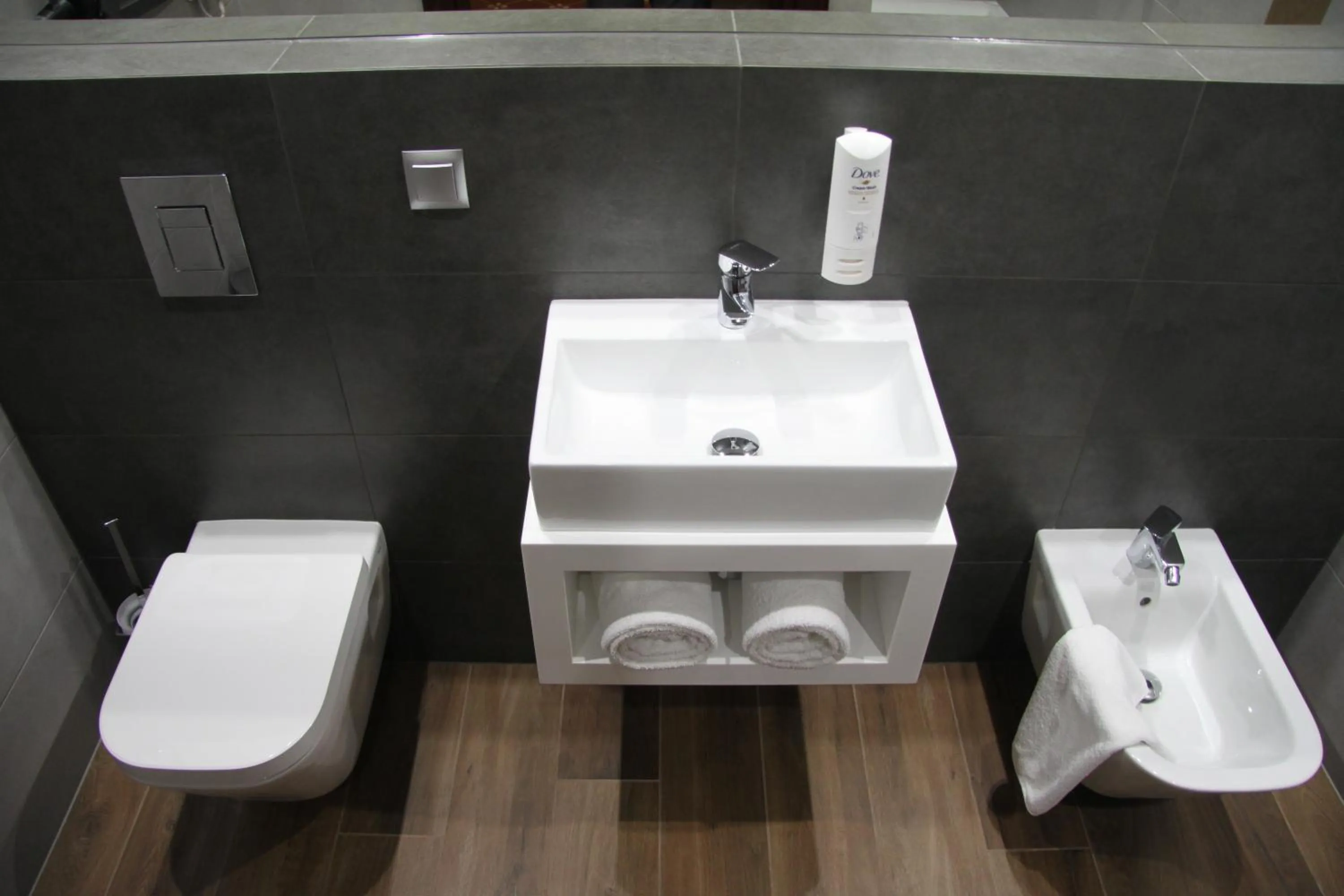 Toilet in Hotel Dunajec