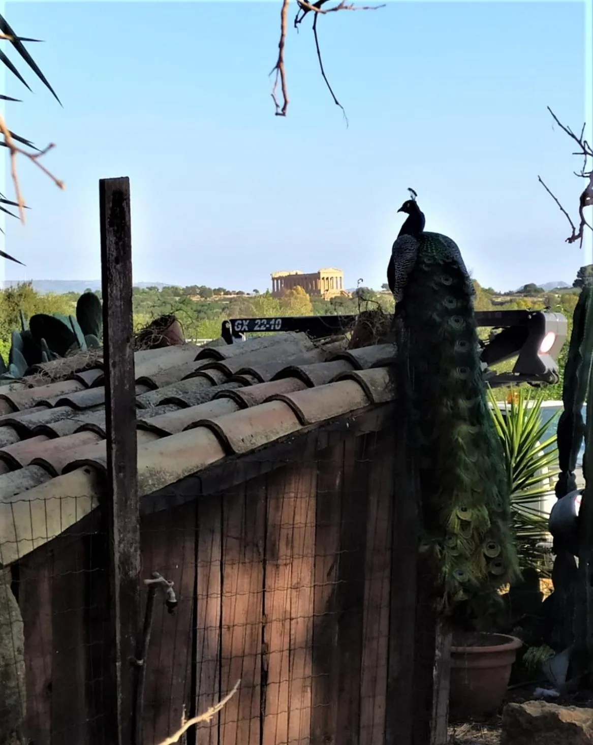 B&B Villa San Marco
