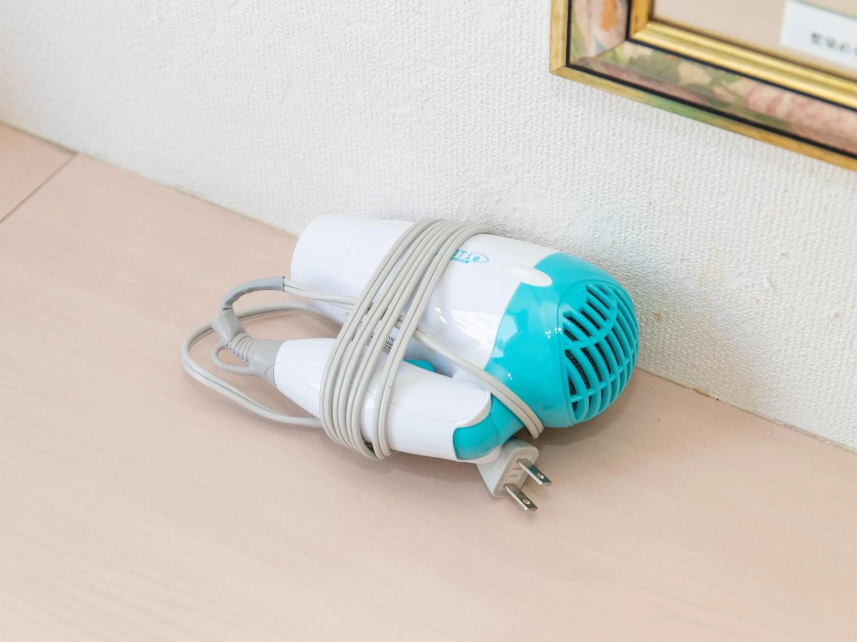 hair dryier in Tabist Sasebo Palace Hotel