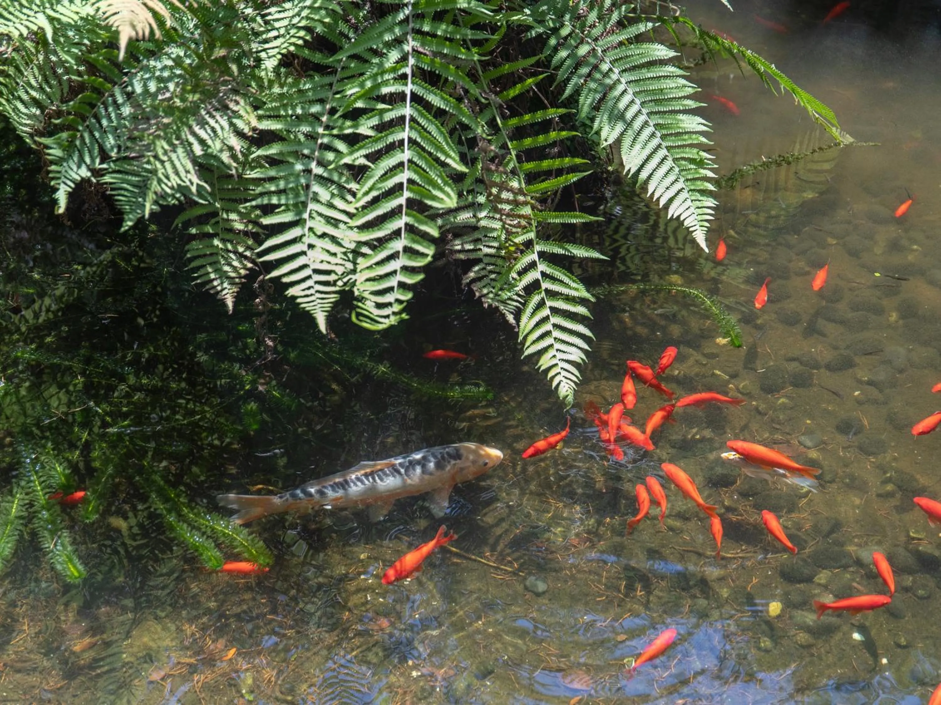 Day in Tabist Sasebo Palace Hotel