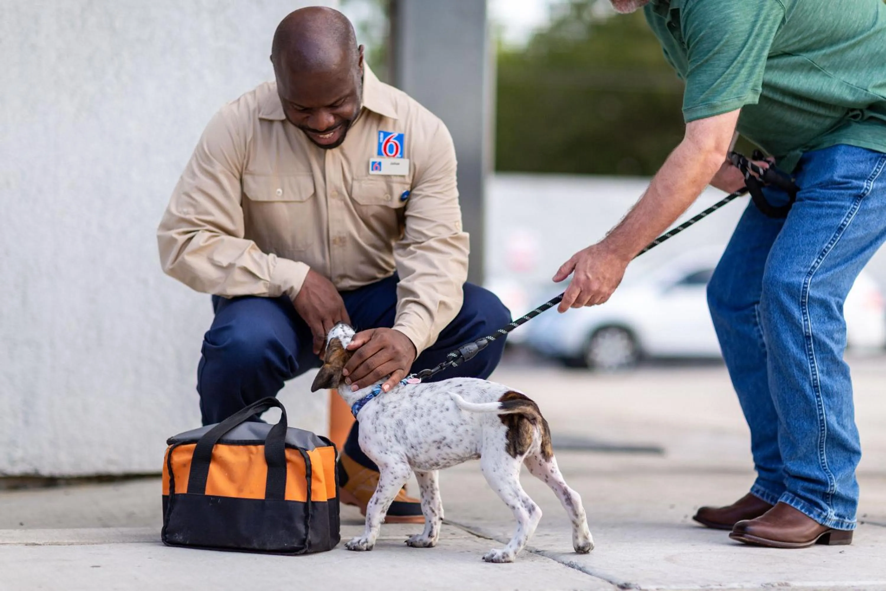 pet friendly in Motel 6 Sherman, TX