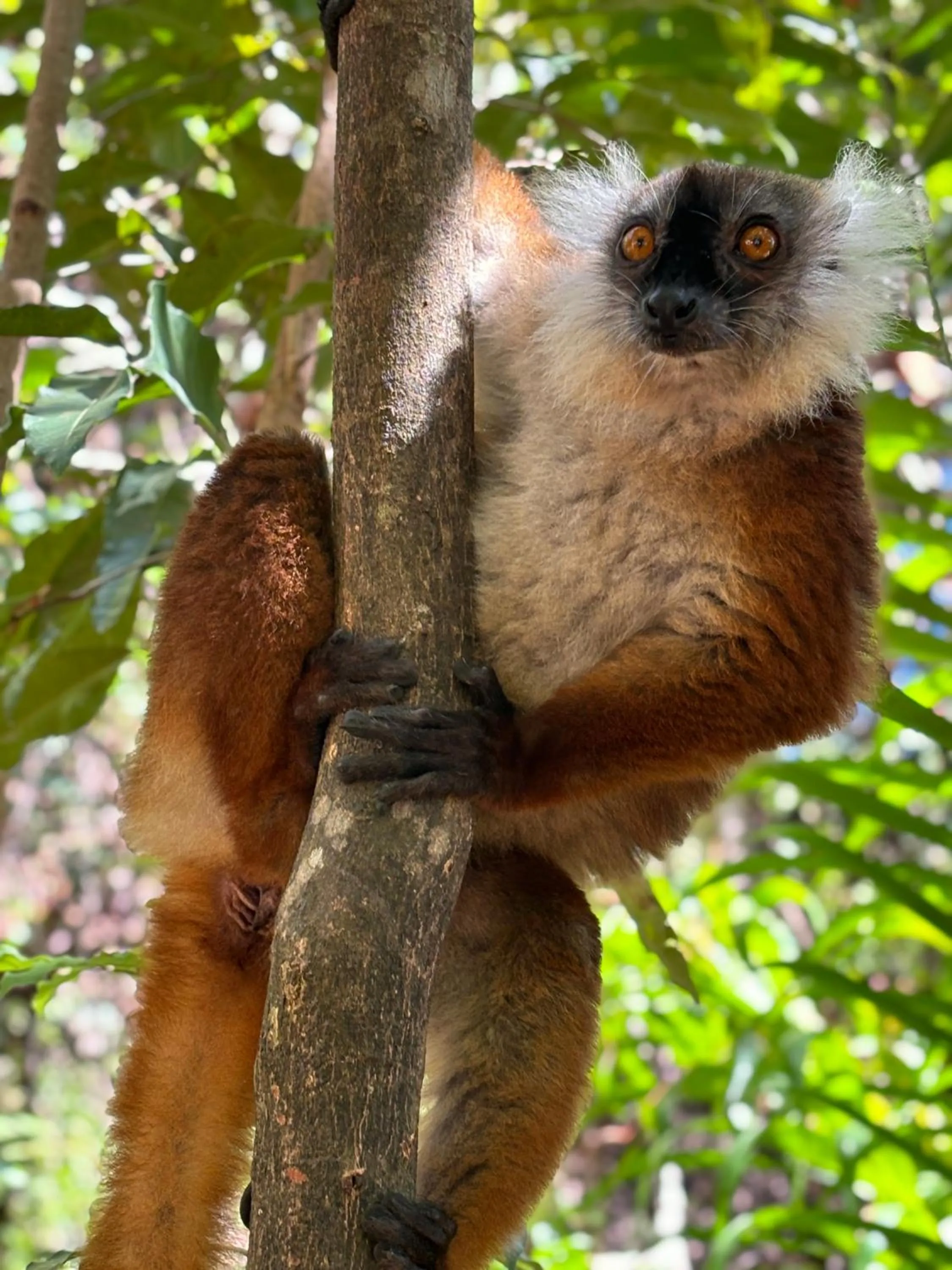 Off site in Tropical Paradise Nosy Be