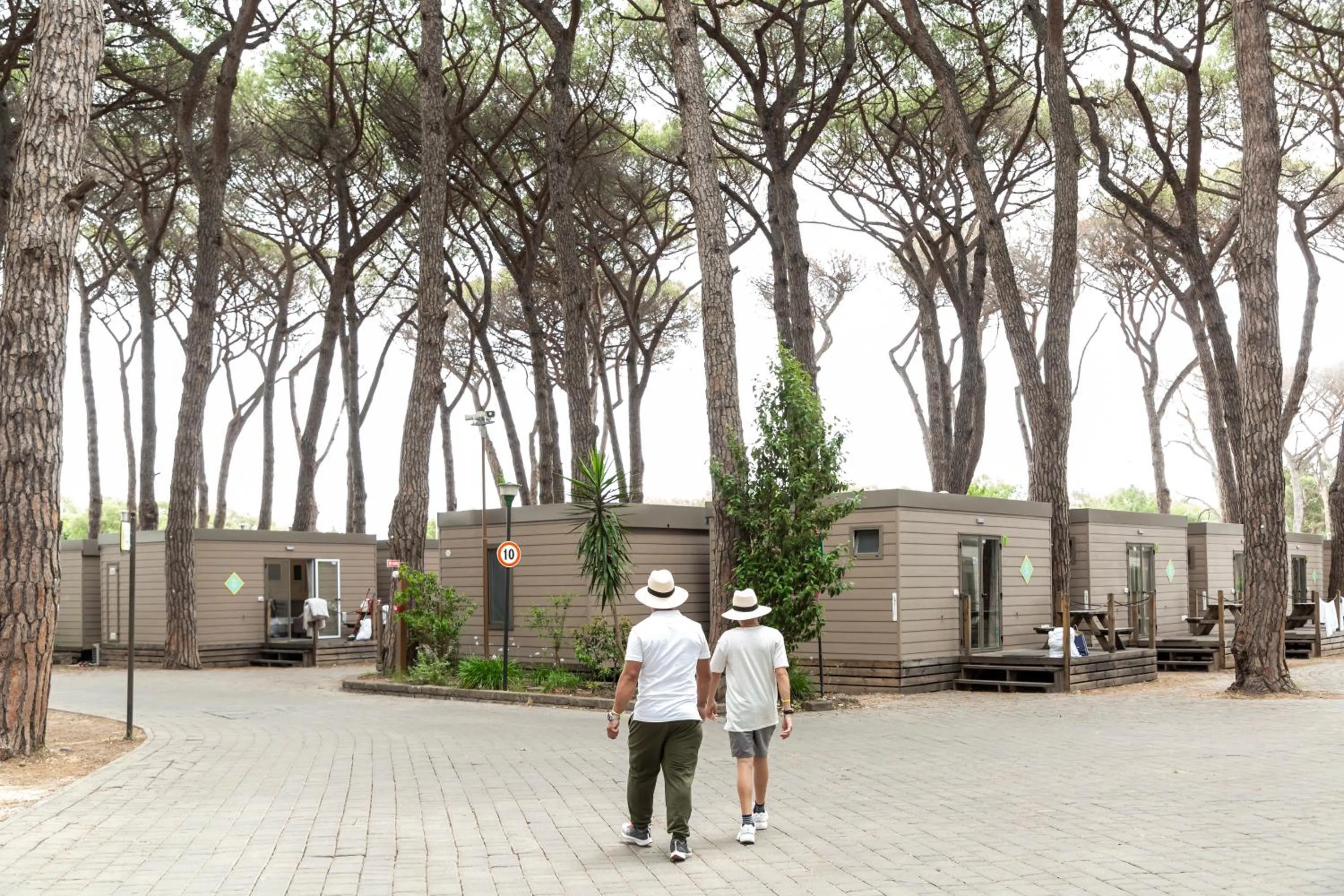 Property building in Fabulous village