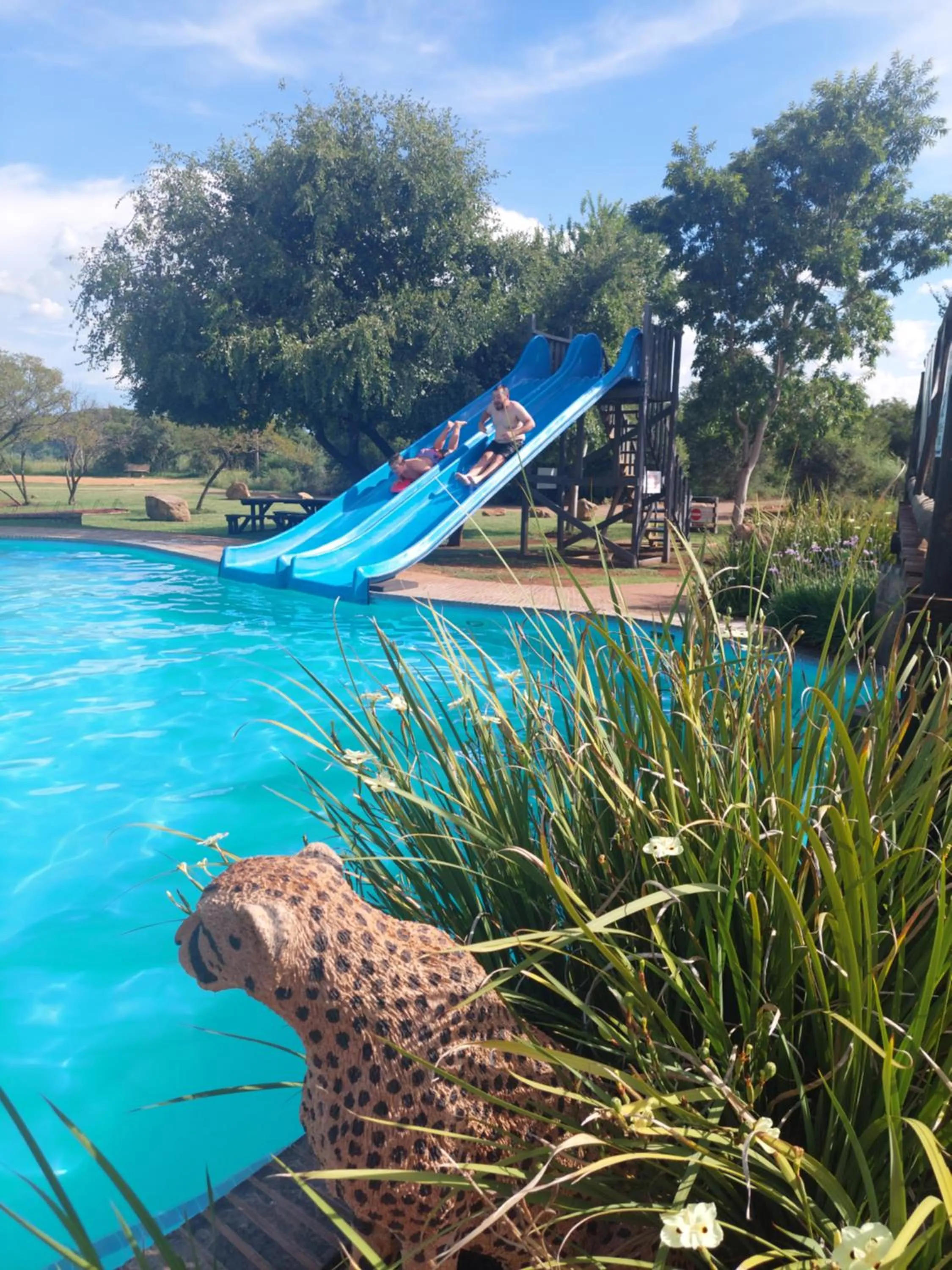 Swimming pool in Tava Lingwe Game Lodge & Wedding Venue