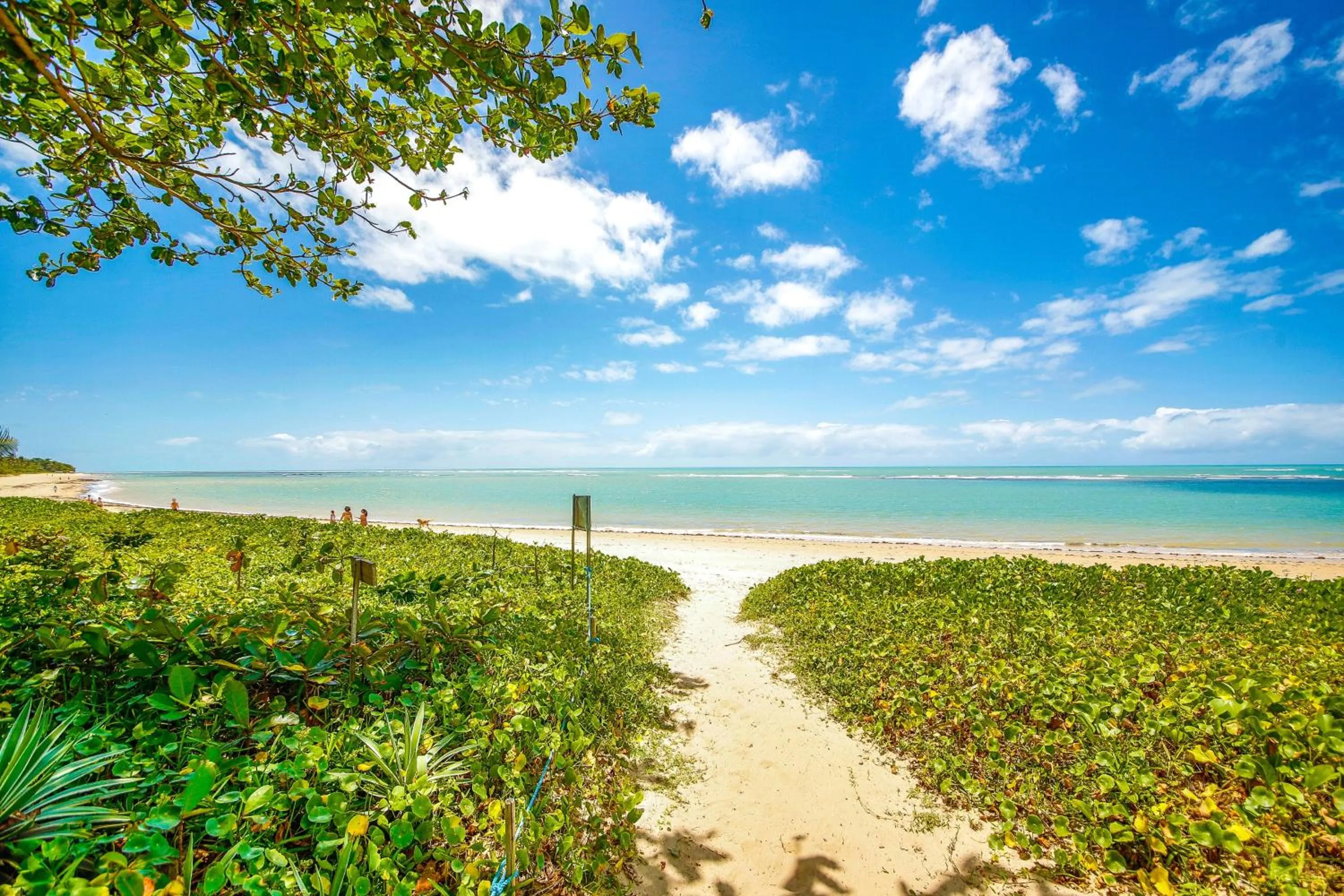 Beach in Residence Pé na Areia