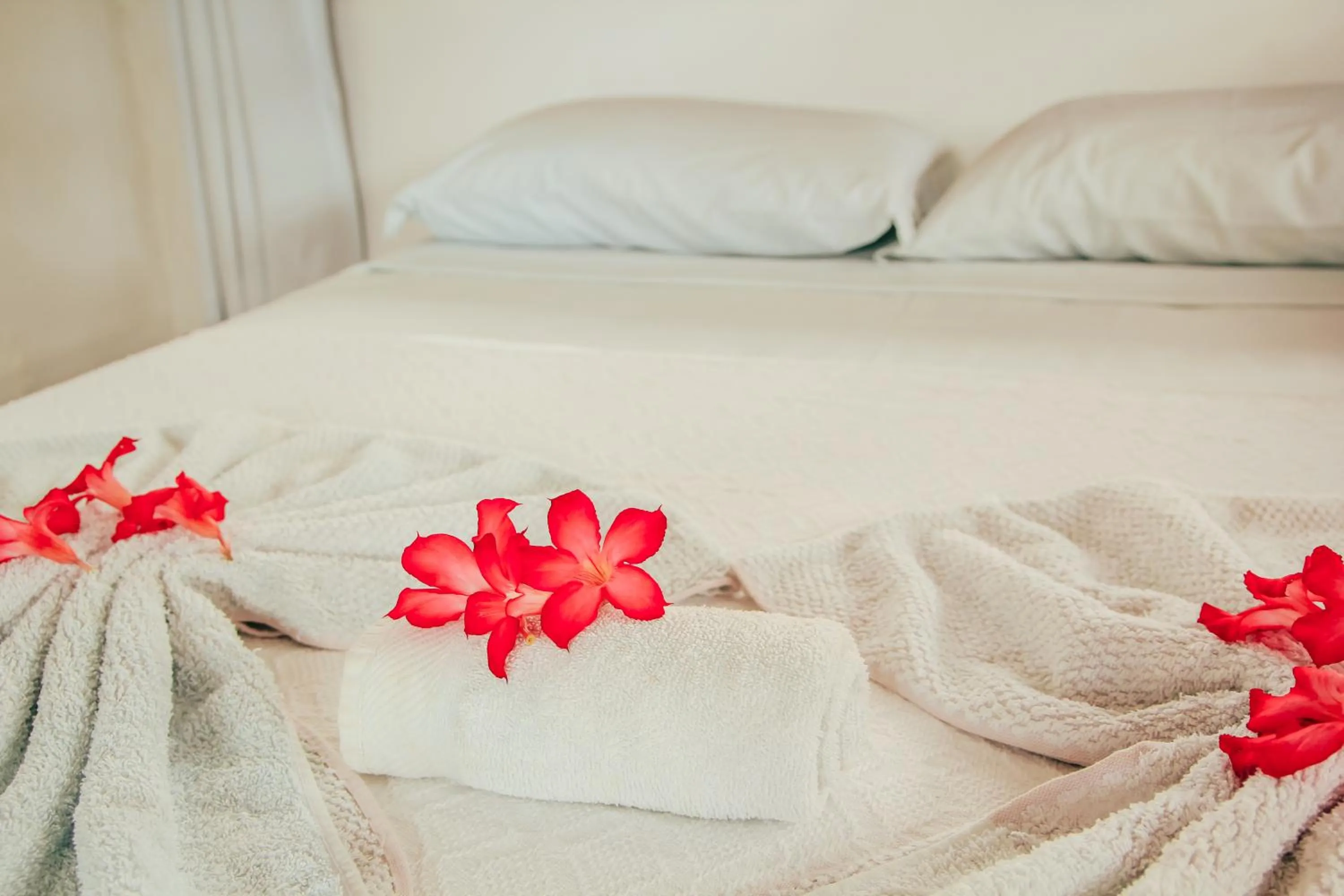 Bed in Pipa Panorama Aparthotel