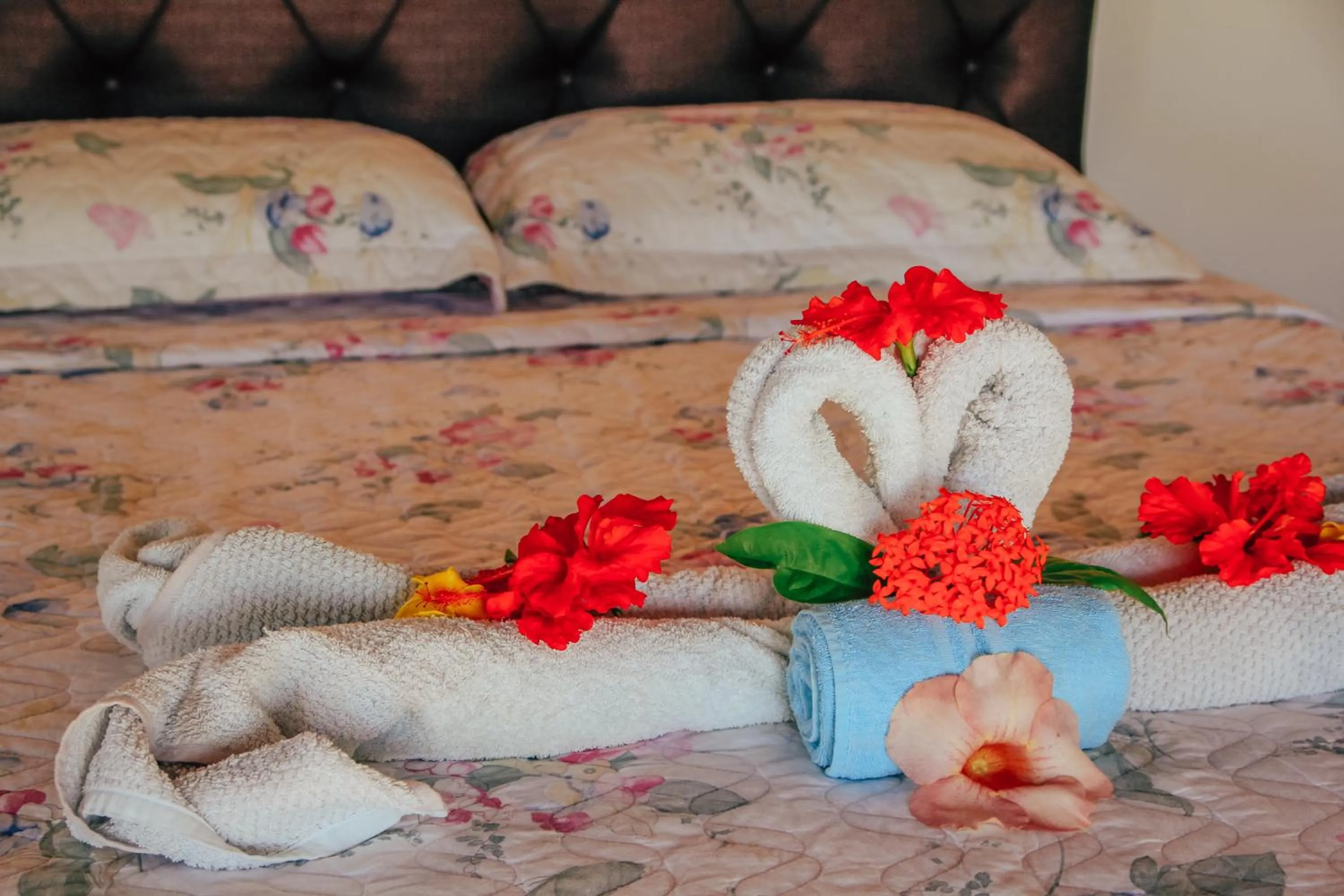 Bed in Pipa Panorama Aparthotel