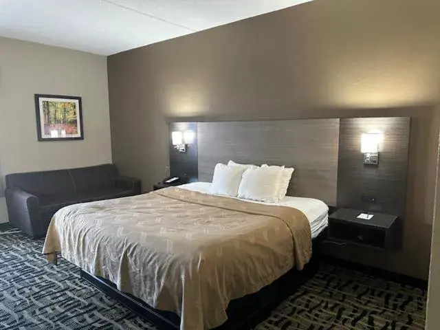 Bedroom, Bed in Quality Inn Bedroom, Bed in Quality Inn