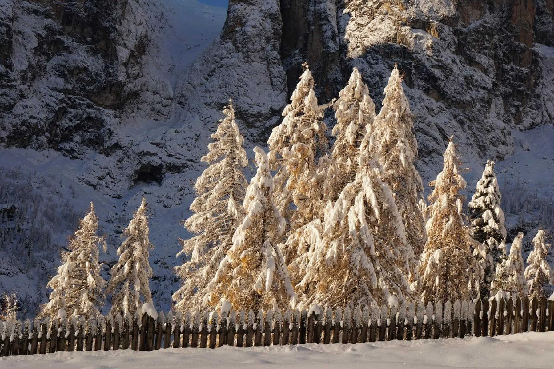 View (from property/room) in Chalet Cogolara