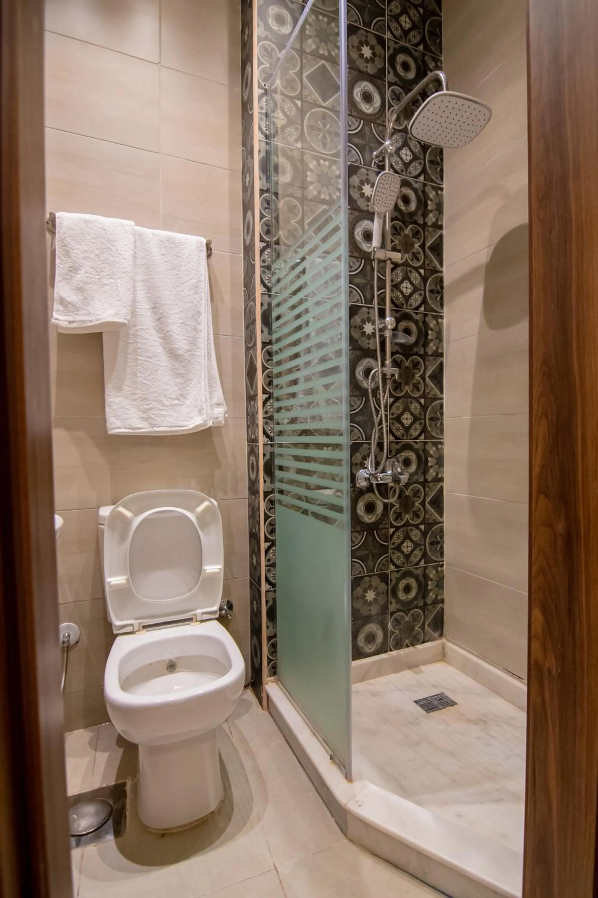 Toilet in Egyptian Night Hostel