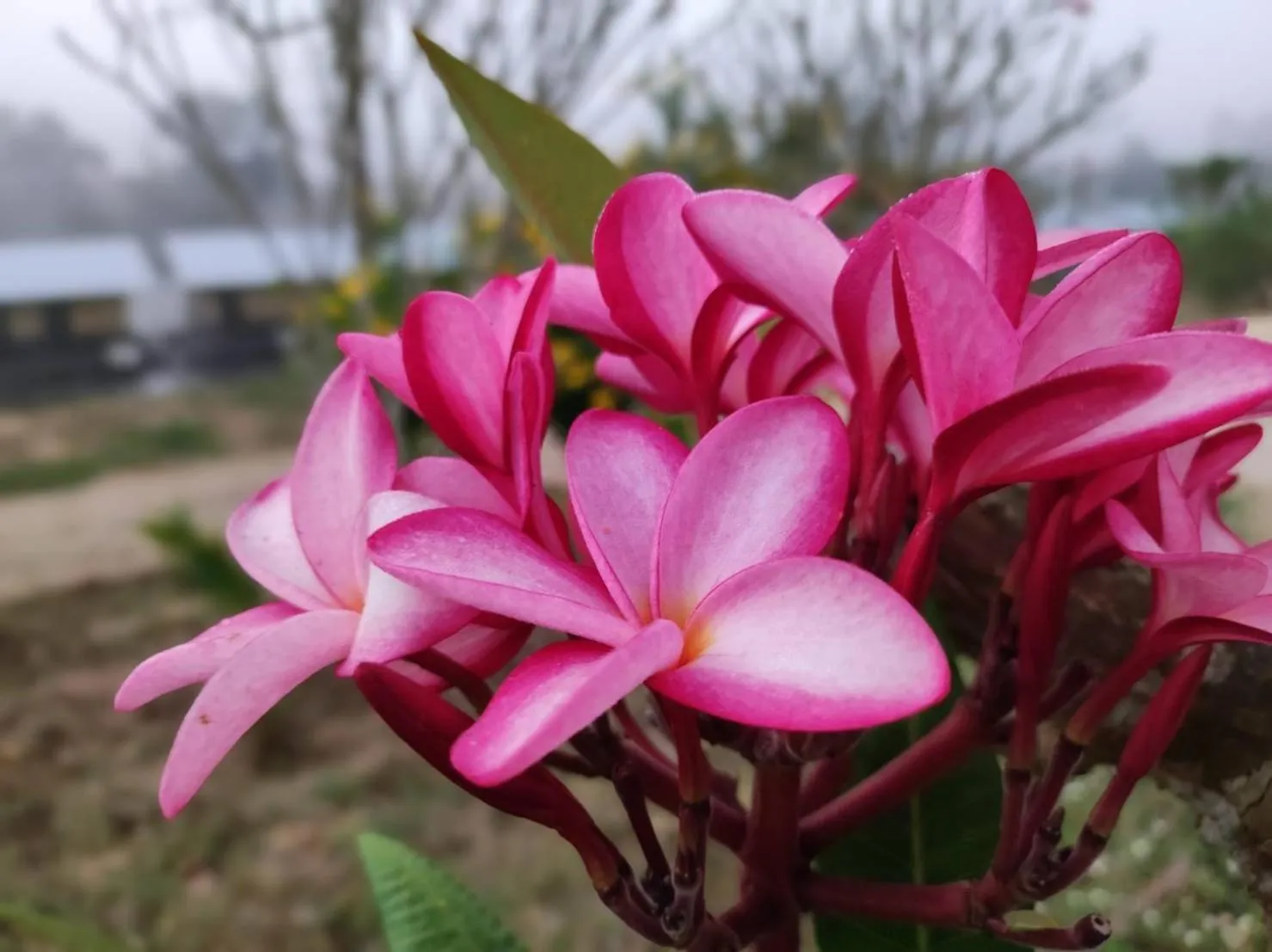 Nakakiri Resort & Spa