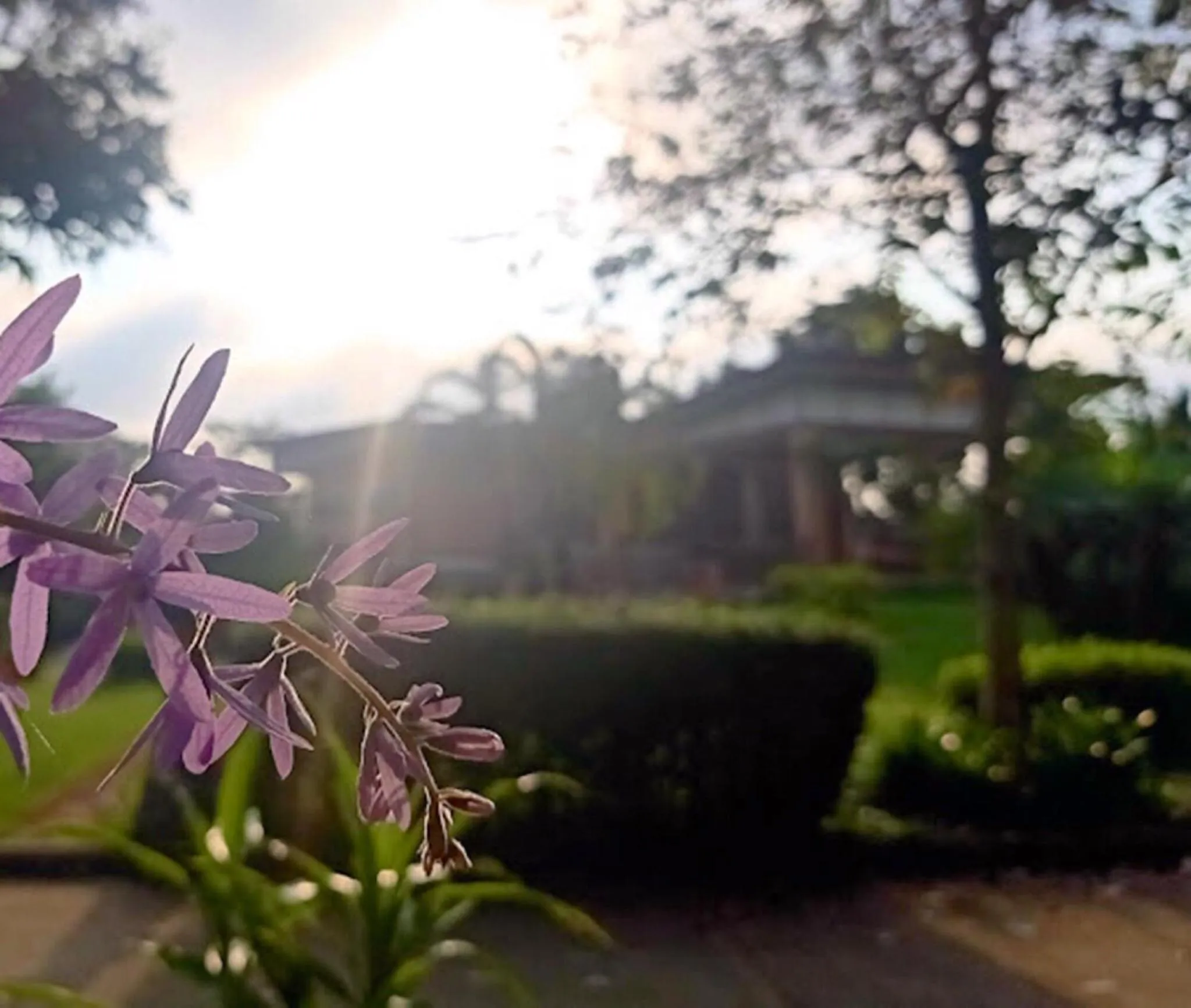 Garden view in Nakakiri Resort & Spa